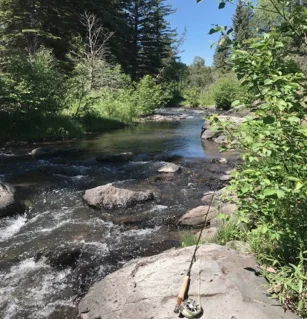 small creek.jpg
