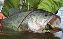 Bass fishing trip with Max Schofield, all equipment included