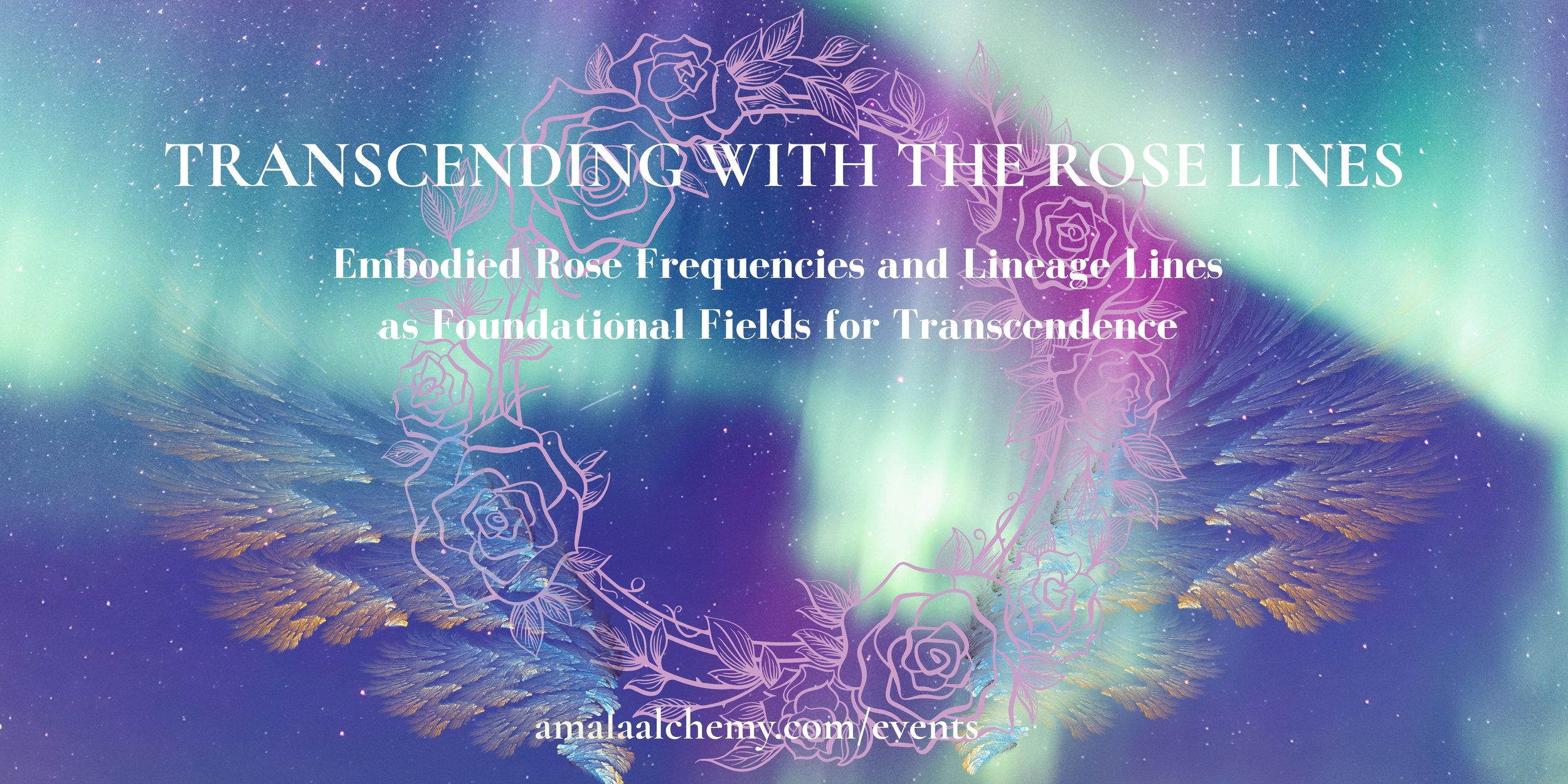 The Lineage and Frequencies of the Rose 
