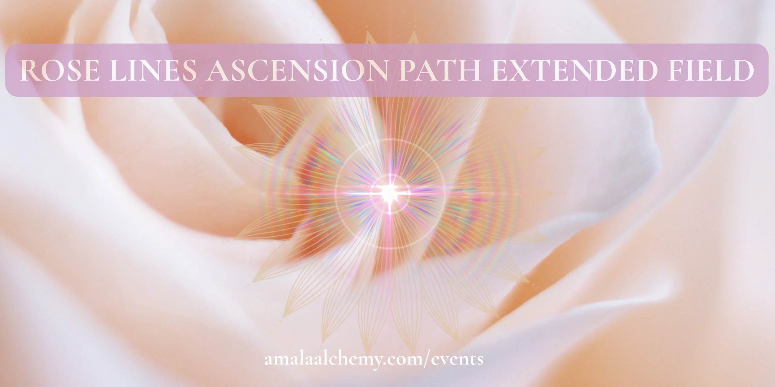 Rose Lines Ascension Path - Extended Field