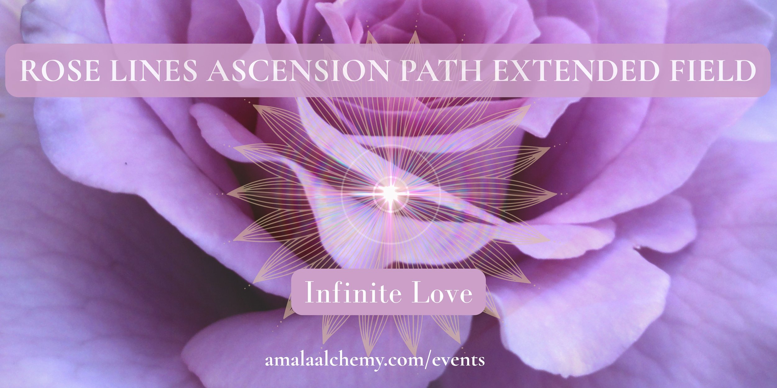 Rose Lines Ascension Path - Extended Field - Infinite Love