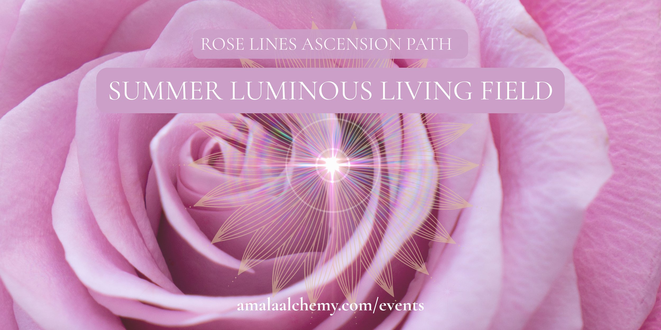 ROSE LINES ASCENSION PATH - SUMMER LUMINOUS LIVING FIELD™