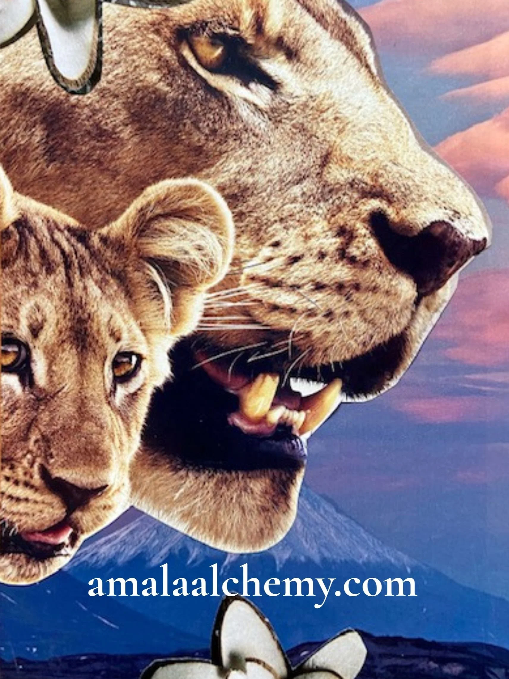 Soulful Somatics Collage process with energy of lions, nervous system settling sky, and beauty and strength of nature. Inner Alchemy