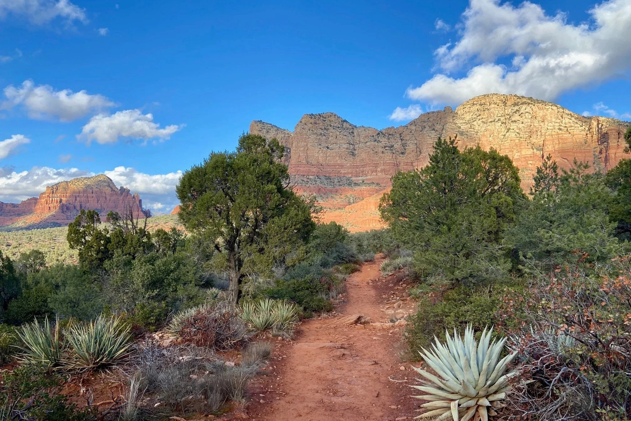Amala Rose,  Somatic & Intuitive Healing Arts practitioner Tucson and Sedona AZ shares a photo of a gorgeous Sedona landscape with a dirt trail winds through desert vegetation toward red rock formations under a partly cloudy sky.