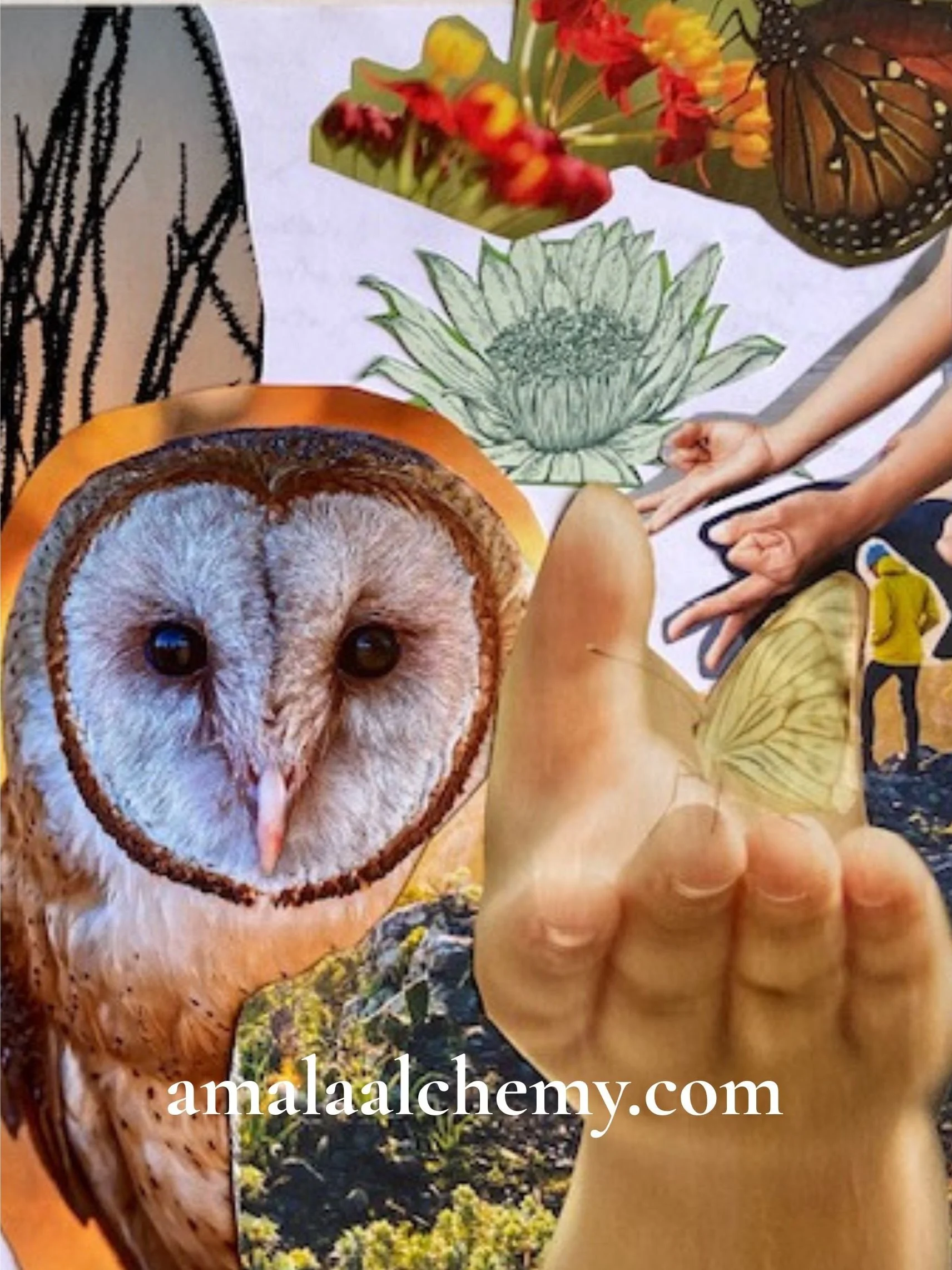 Soulful Somatics Collage process with energy nature, nervous system settling, inward reflection, and beauty of spirit, energy, and nature.. Inner Alchemy
