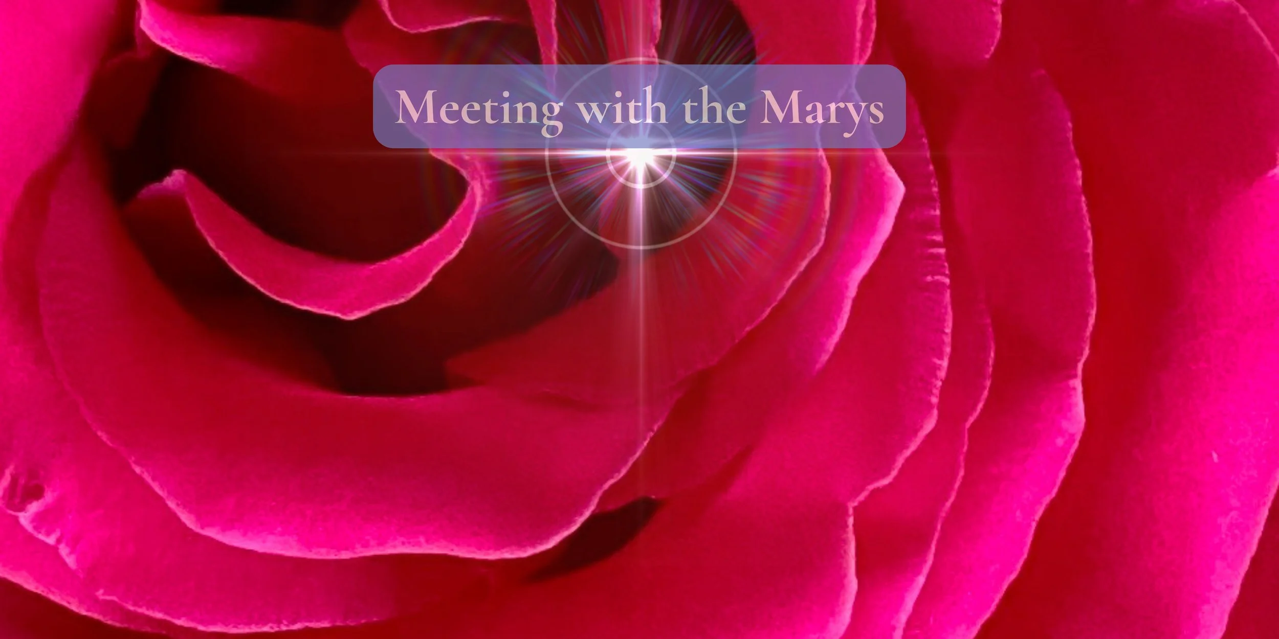 Meeting with the Marys, a Rose Frequency offering with channeling and communing with Mary Magdalene and Universal Mother Mary. Image of a red Rose