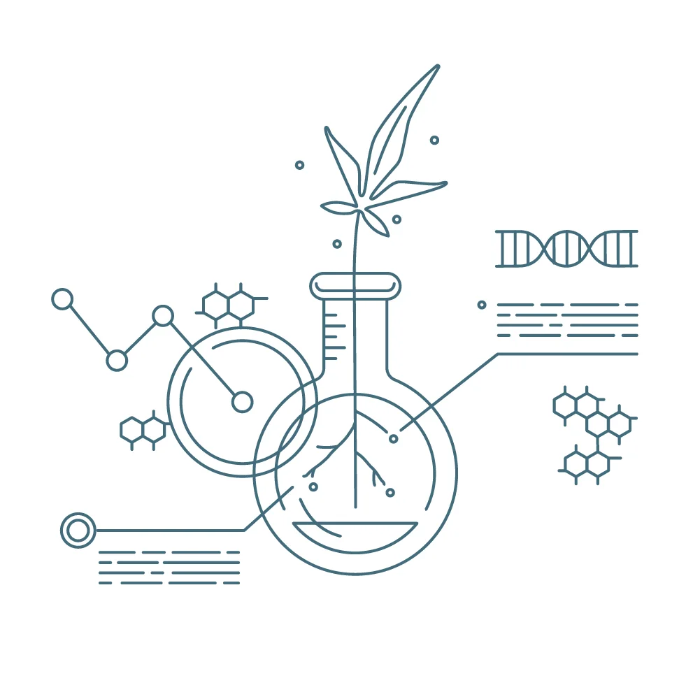 2019_0225_ScienceArtboard 39 copy.jpg