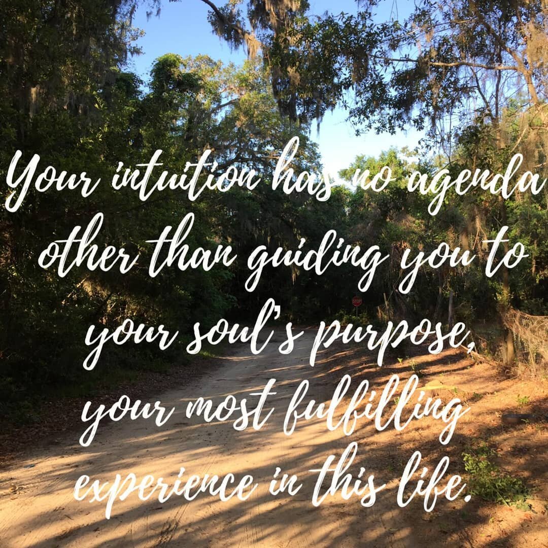 &ldquo;Your intuition has no agenda other than guiding you to your soul&rsquo;s purpose, your most fulfilling experience in this life.&rdquo;
.
If the desires of your heart are remaining just that, desires, and you&rsquo;re ready to start taking intu