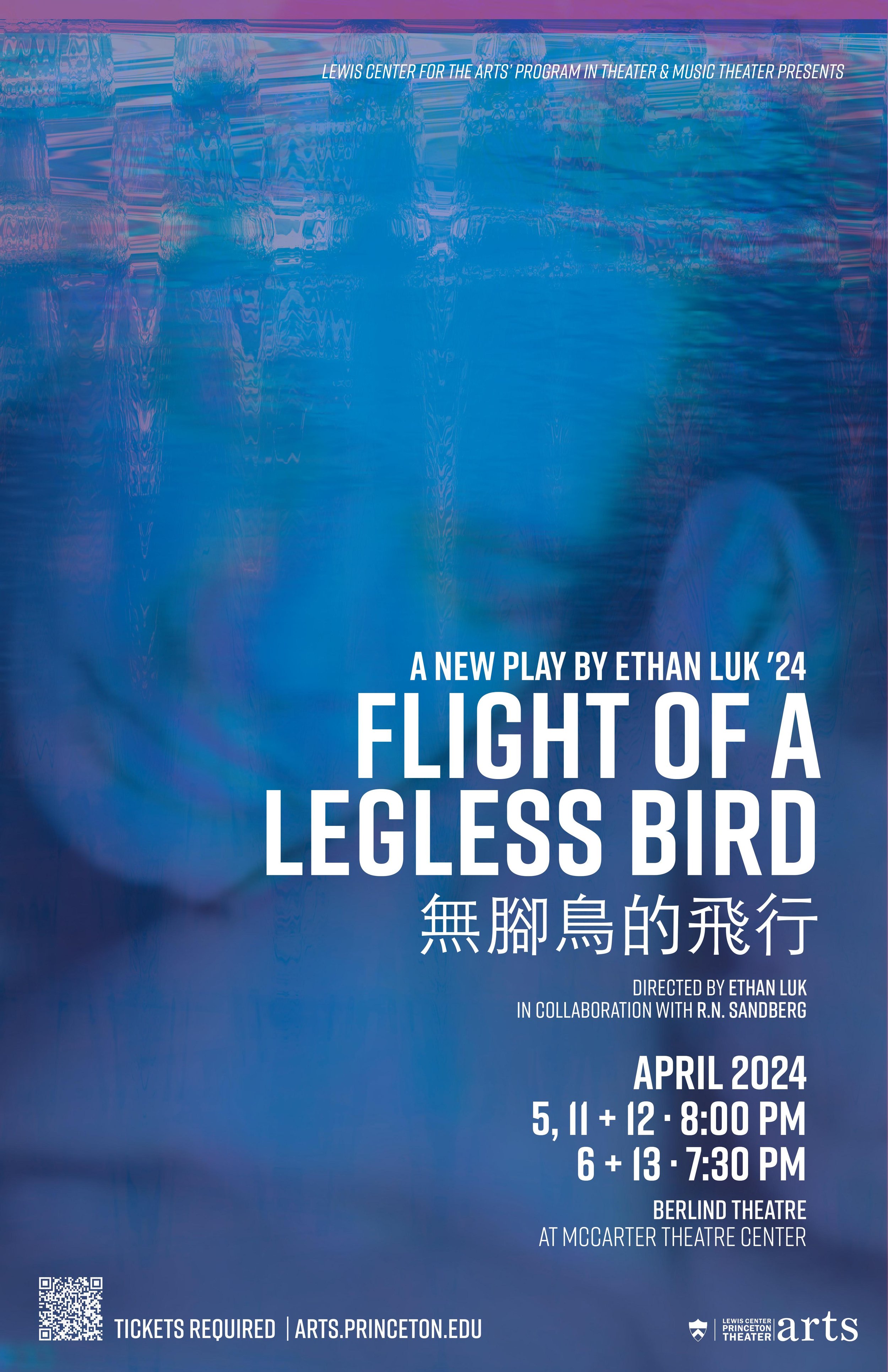 Flight of a Legless Bird Poster_draft 3.jpg