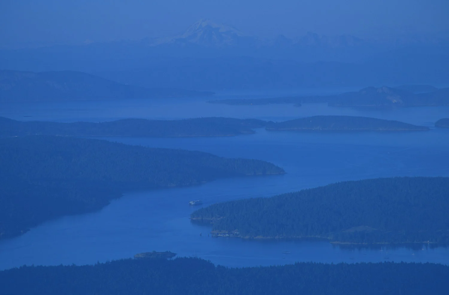 orcas_bg_blue.jpg