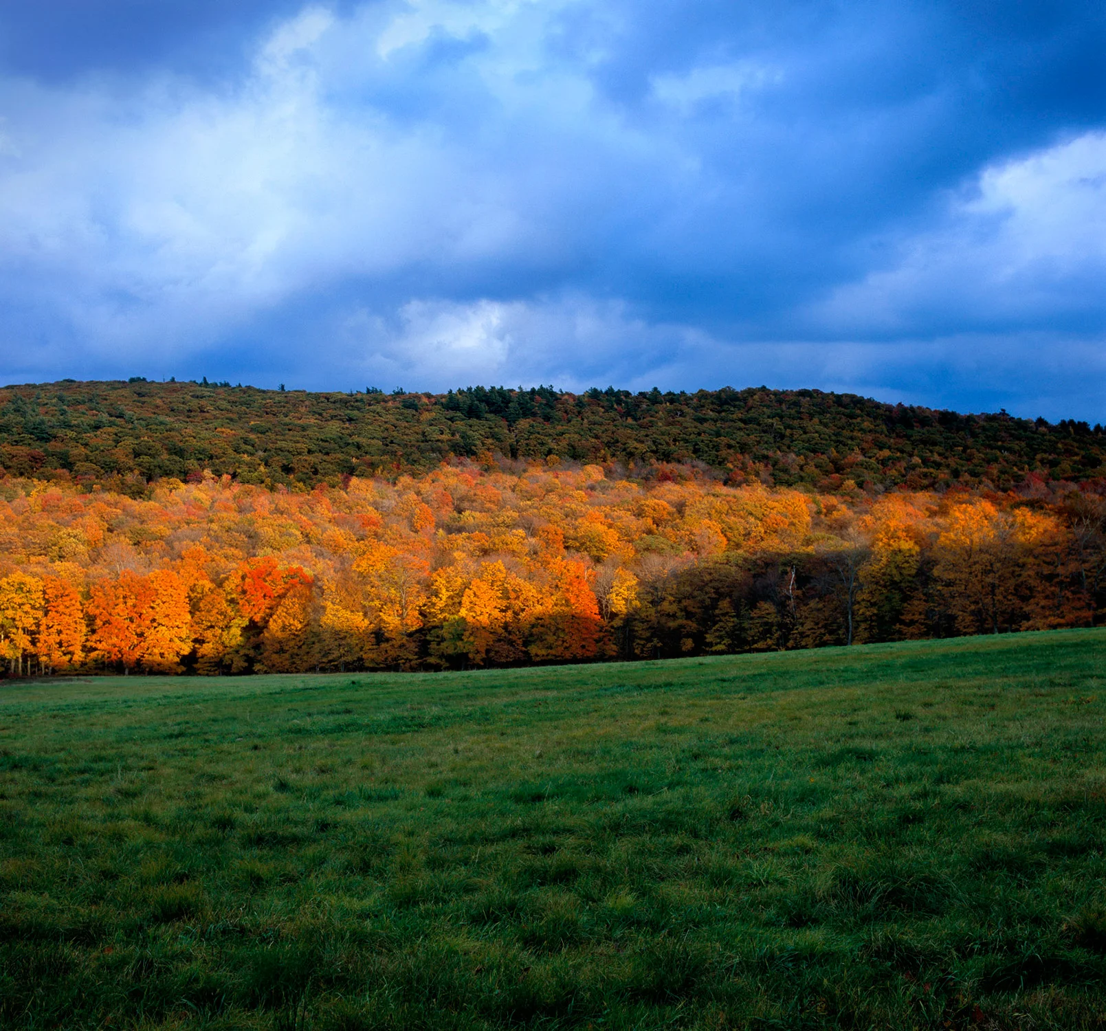 Fall Colors - The Berkshires
