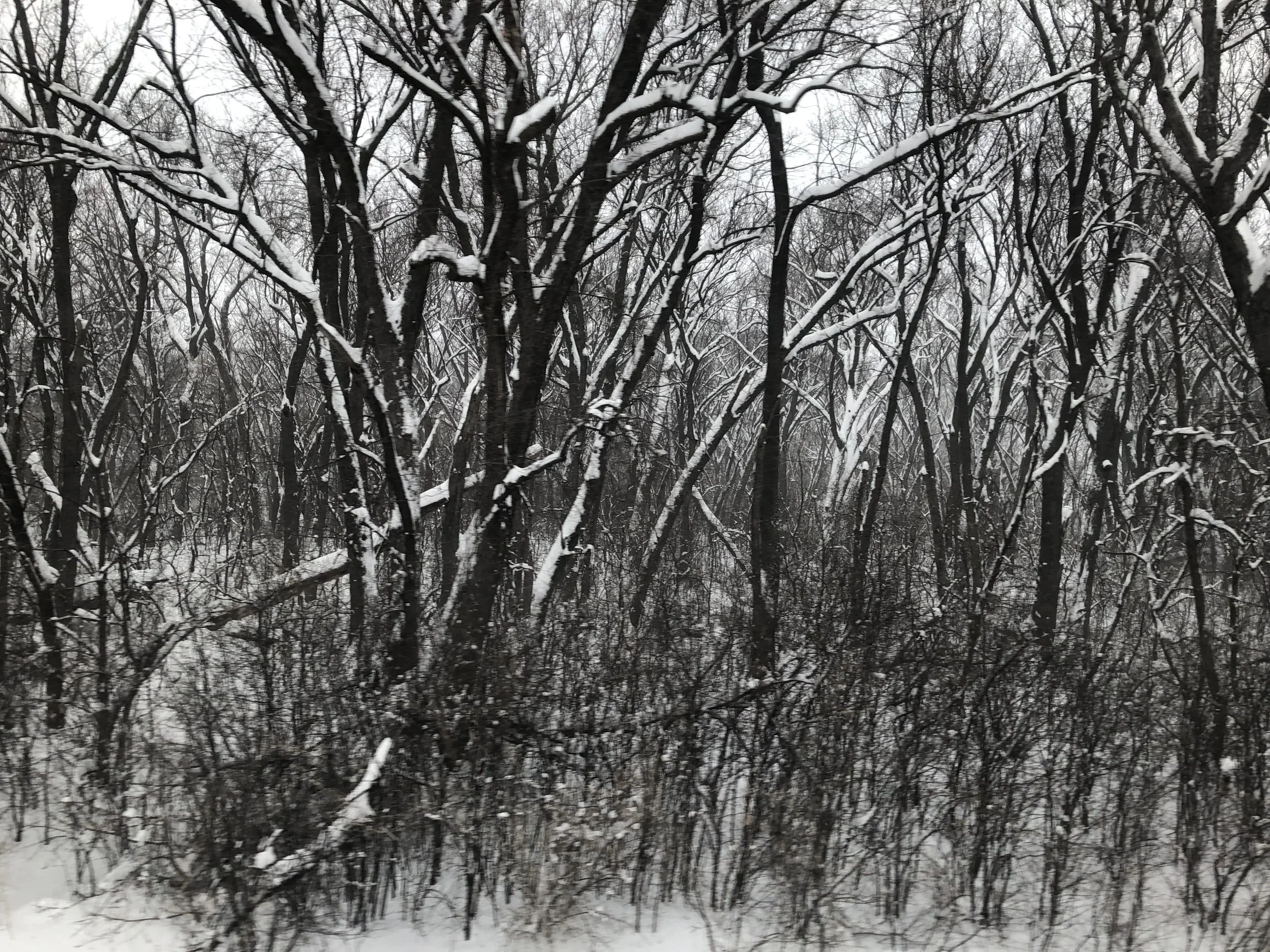 The Empire Builder - a train in winter