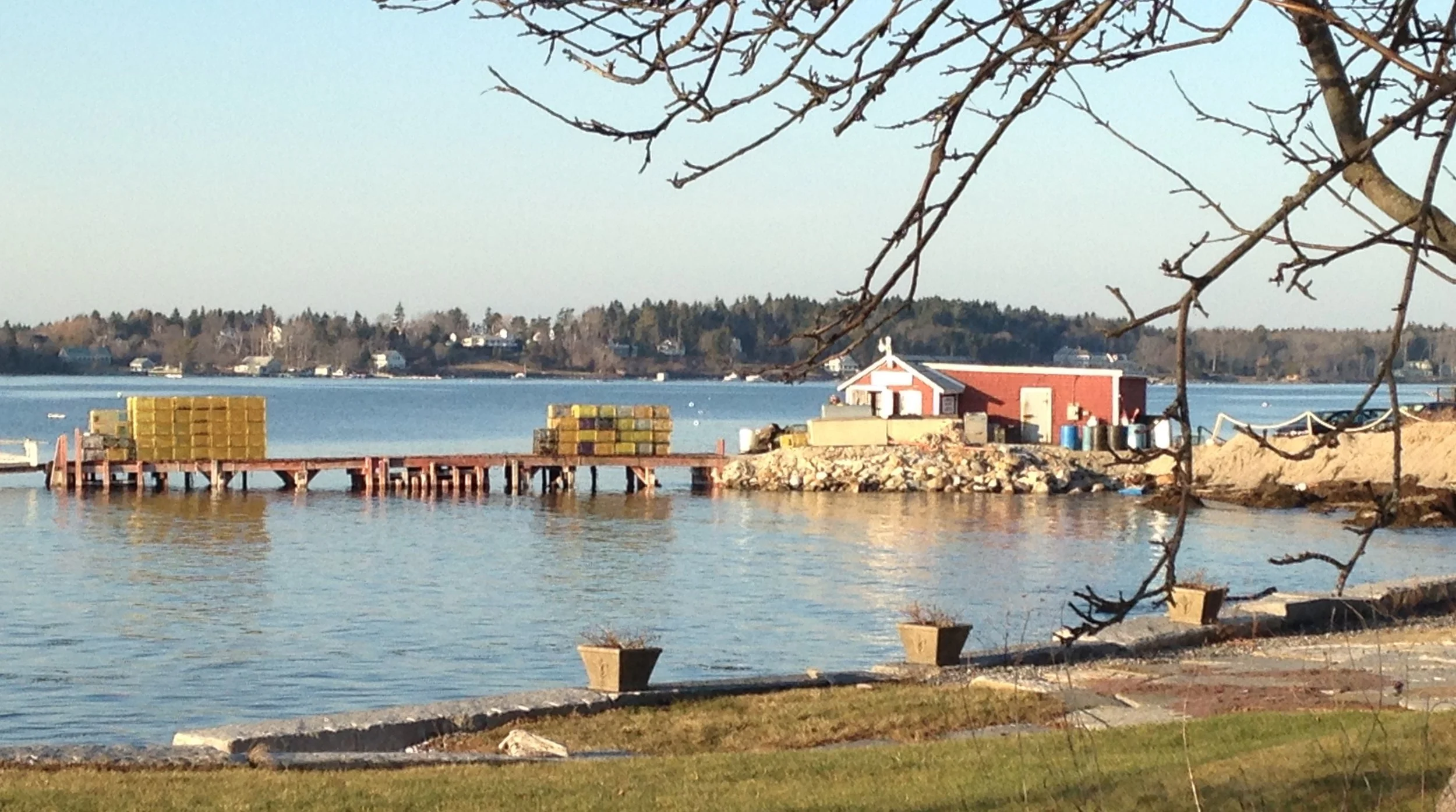 Near the point in So Harpswell. A ferry used to come in here from Portland but no longer. I think this photo was taken with an old iPhone 6, not good quality, but I liked the composition