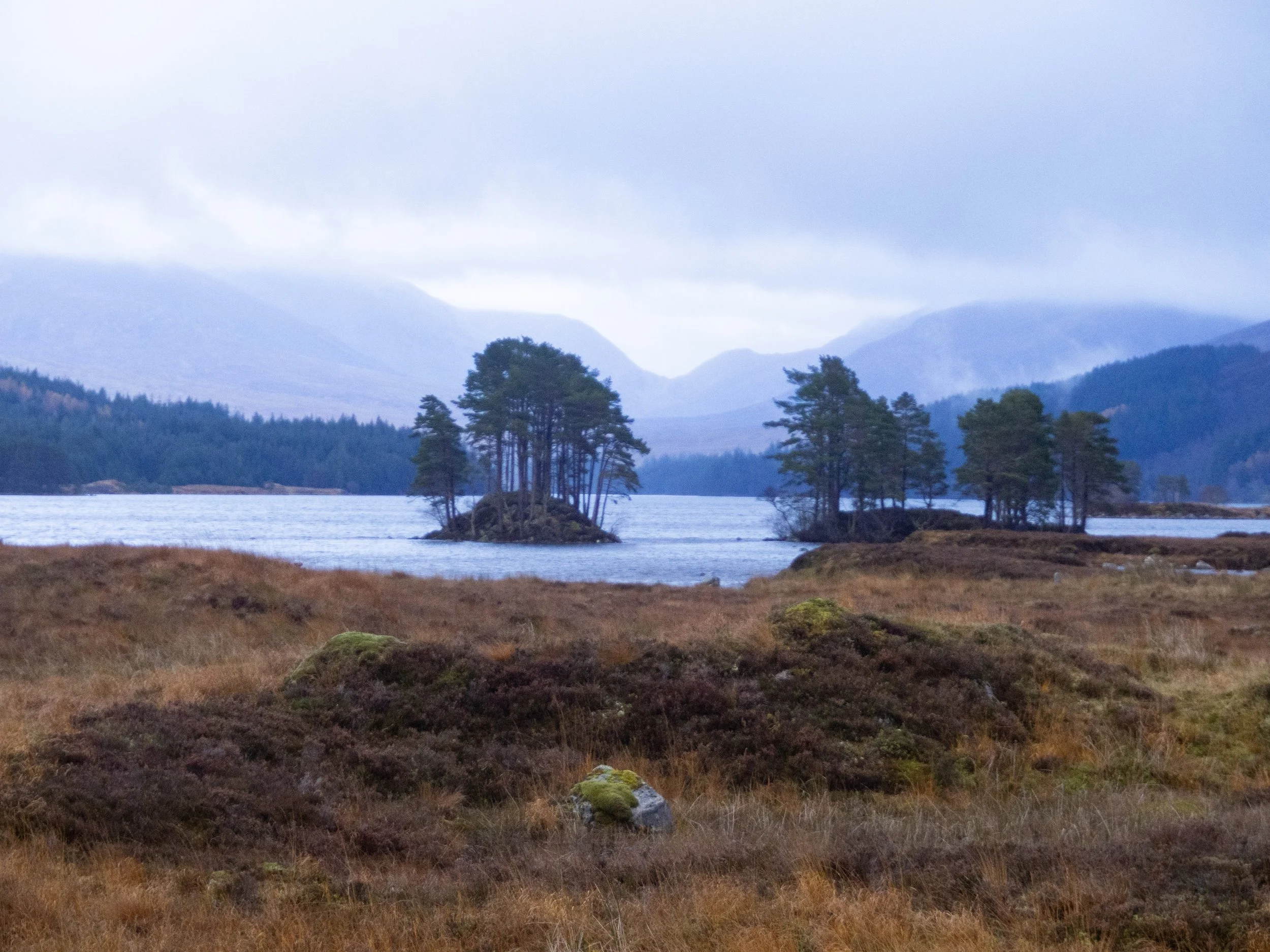 Dead landscapes - the Scottish Highlands 
