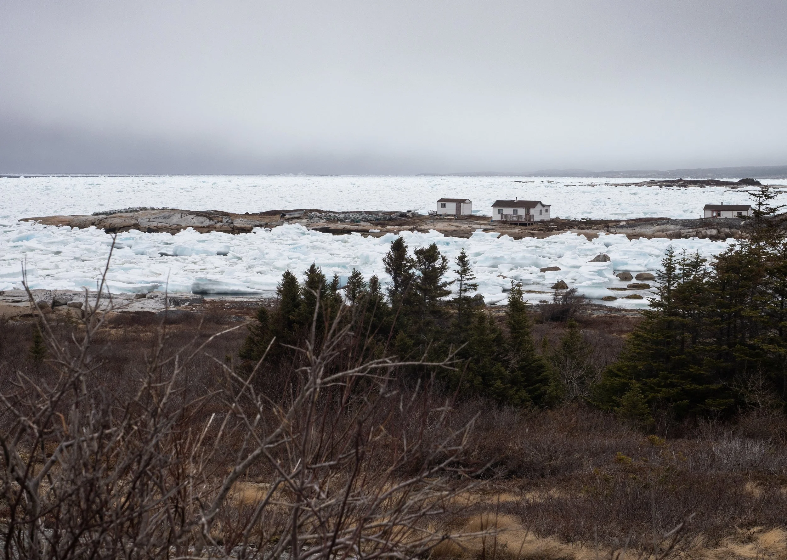 Fogo Island, Newfoundland - rain, wind, fog and ice