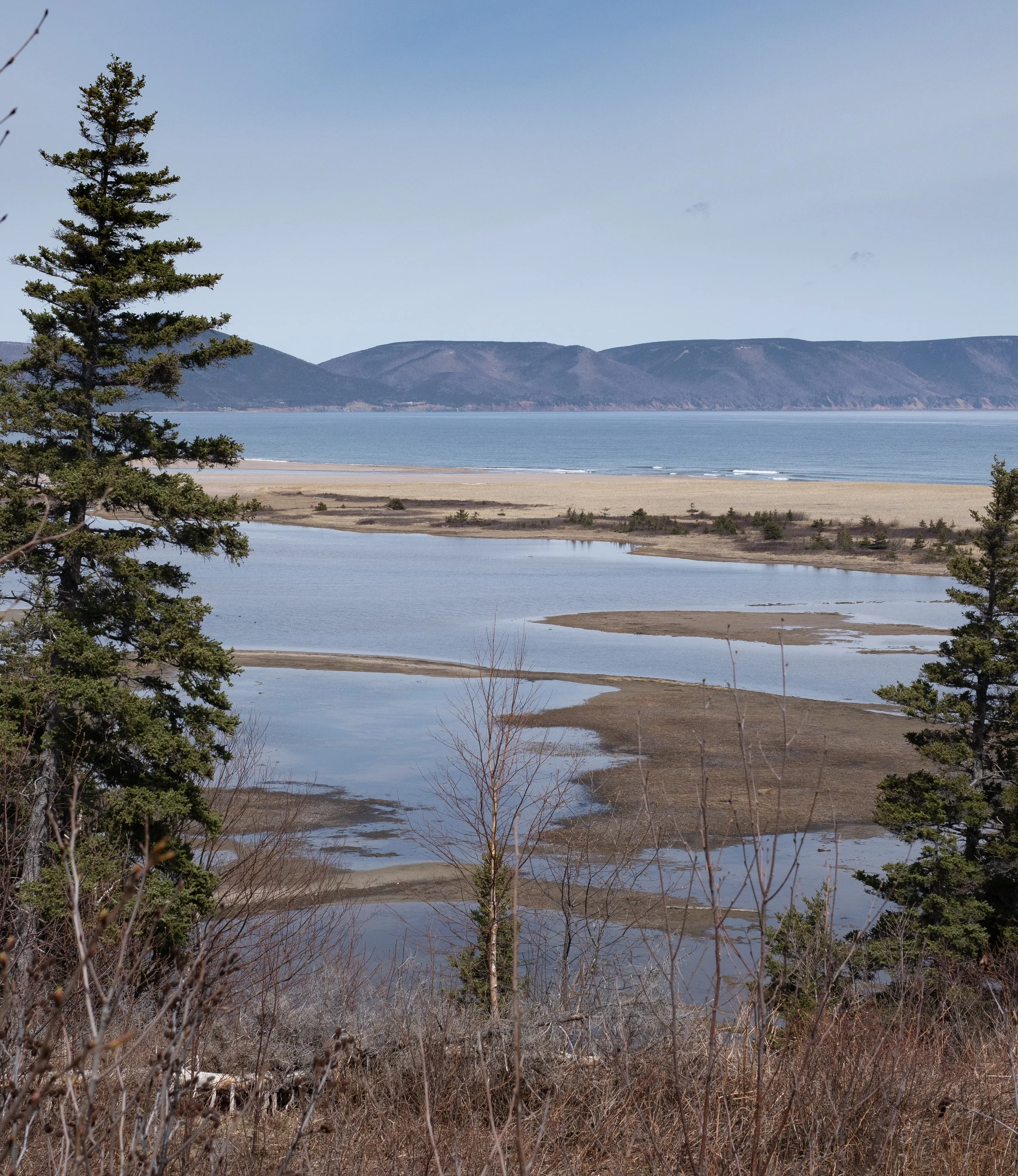 Southern Newfoundland and Nova Scotia - unlikely art in unlikely places