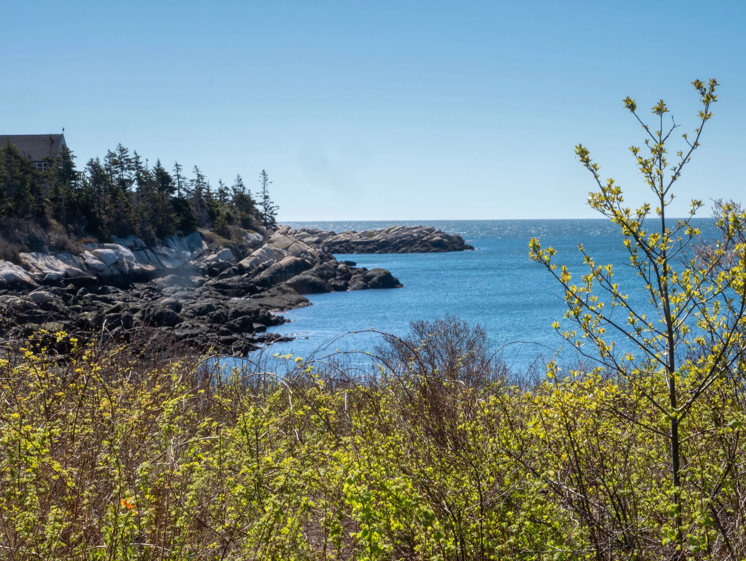 These are very typical sea views on Matinicus. Granite shorelines mostly. Though there are two sandy beaches out there which we did not get to.