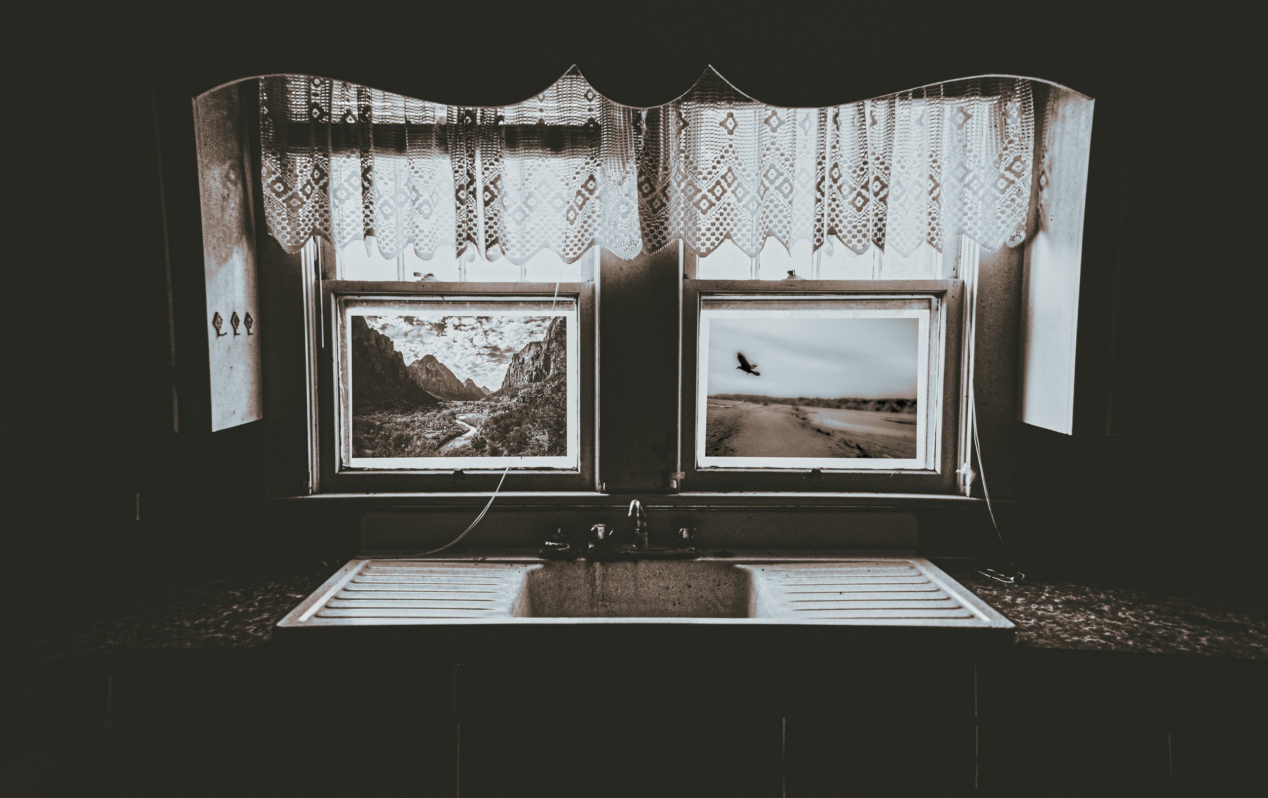 53029000977_8f1d75e424_o 2.JPG