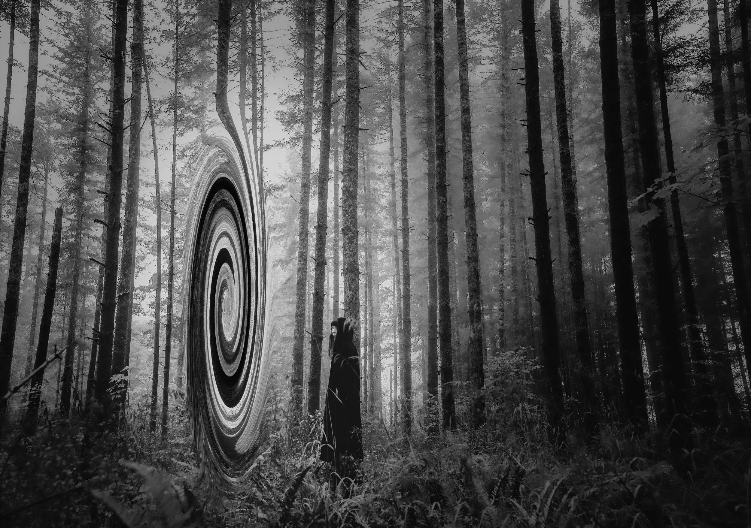 53434159171_9d9b7d2559_o 2.JPG