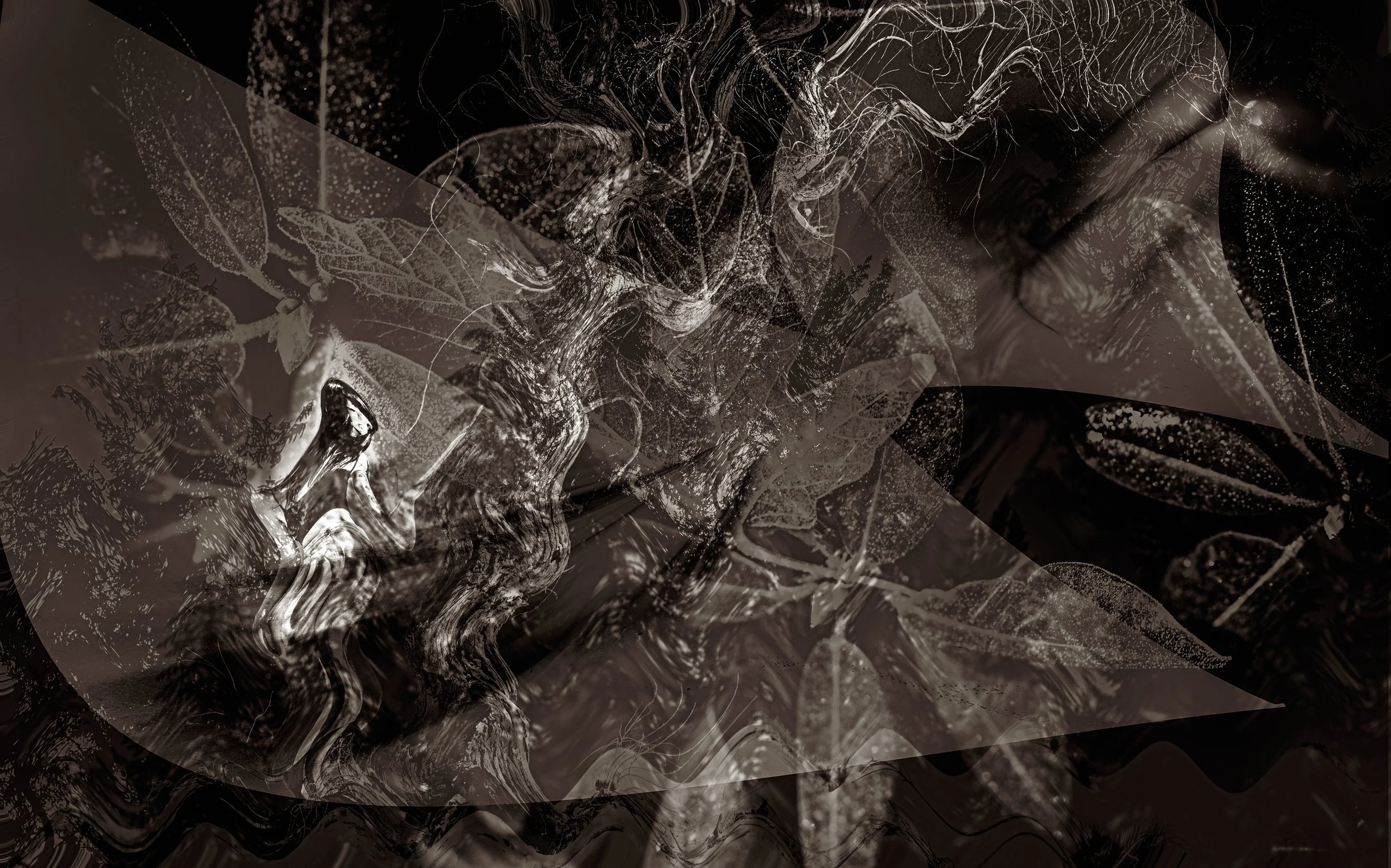 53454524144_8db454092e_o 4.JPG