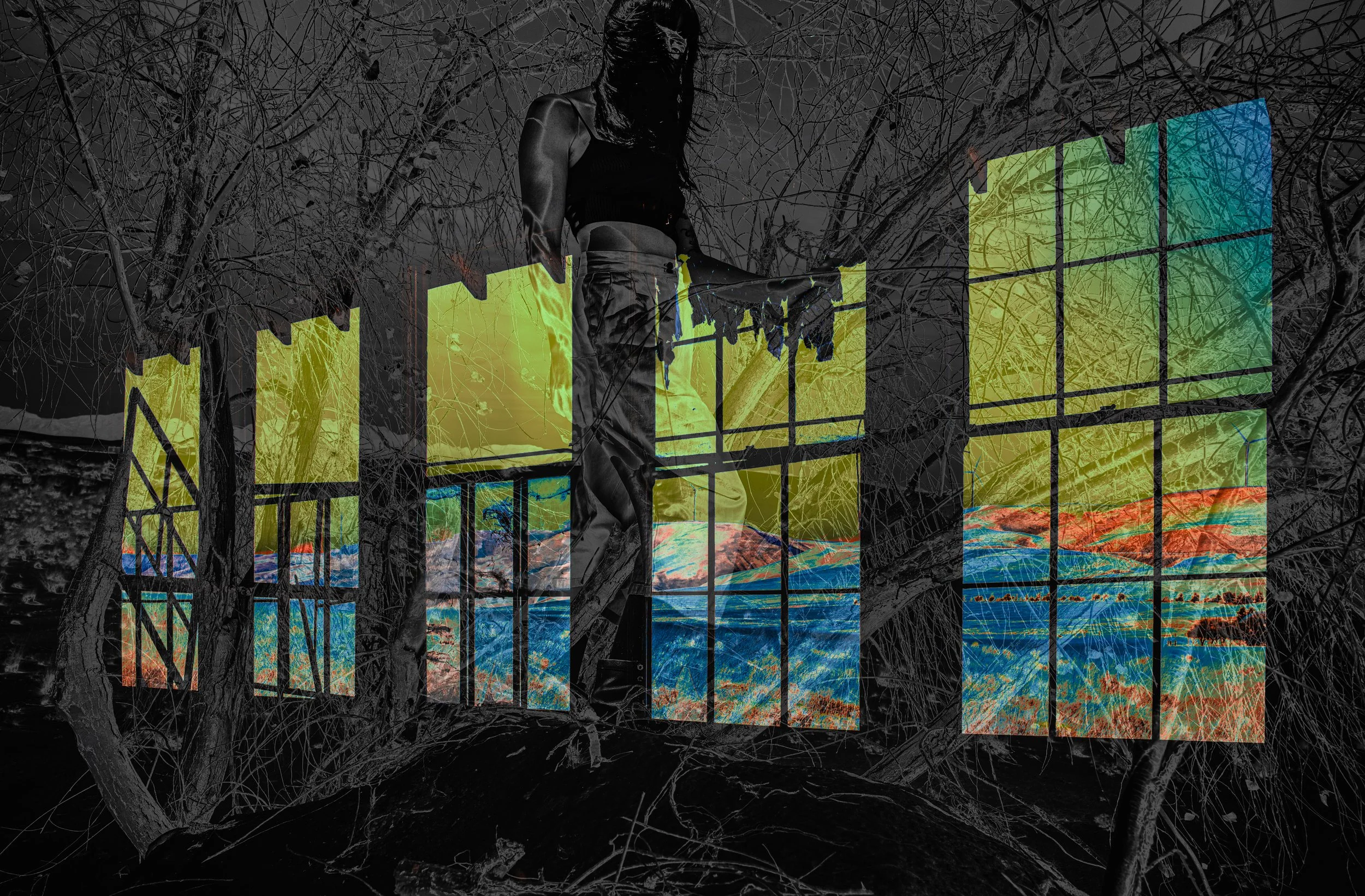 53488500722_edb10cf524_o 2.JPG