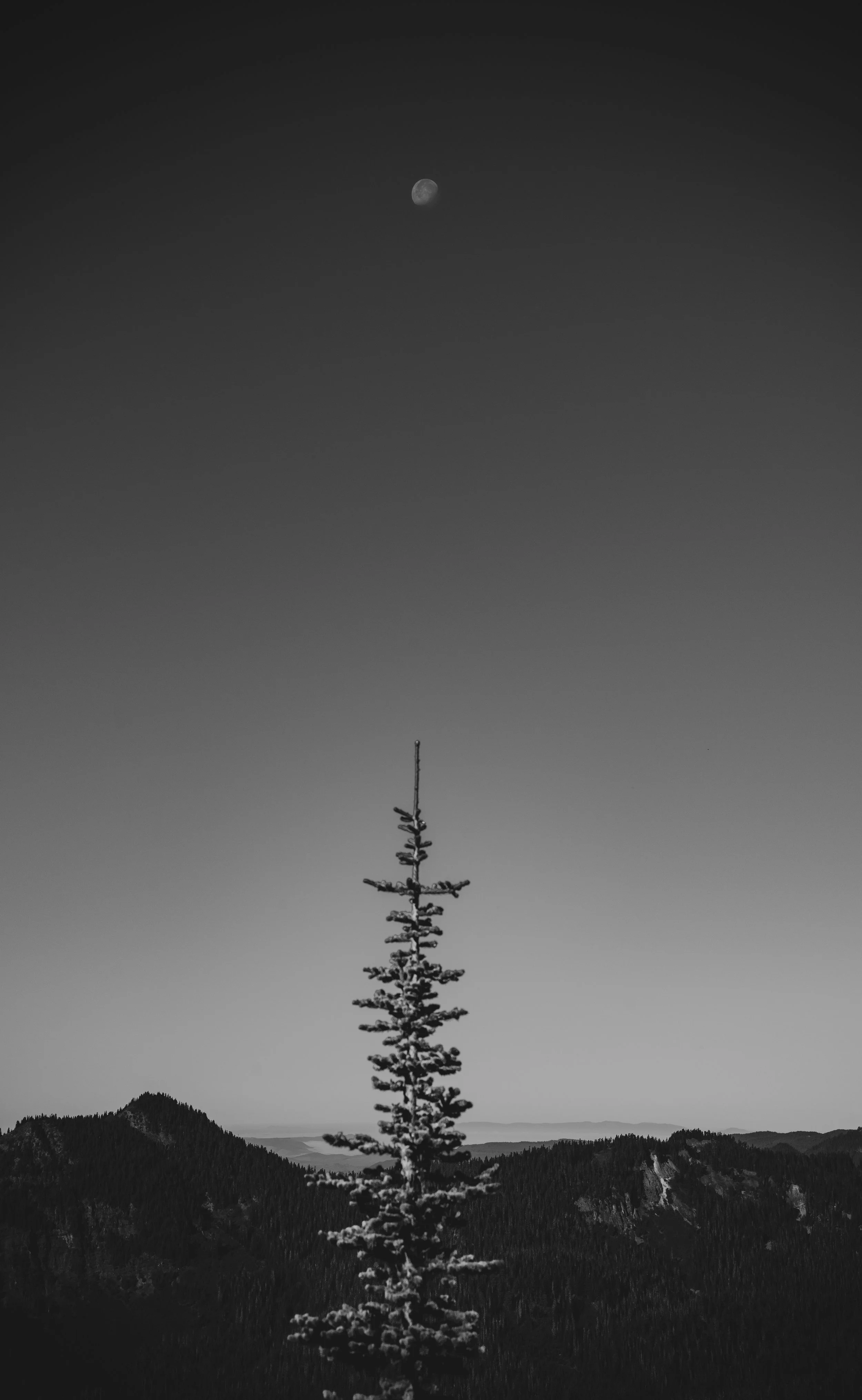 50430017742_be593e35ae_o 3.JPG