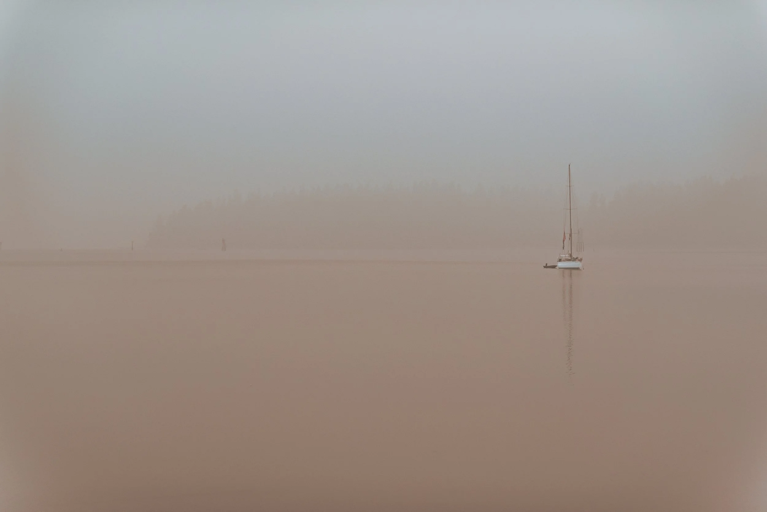 50333726018_ff1df797bc_o 5.JPG