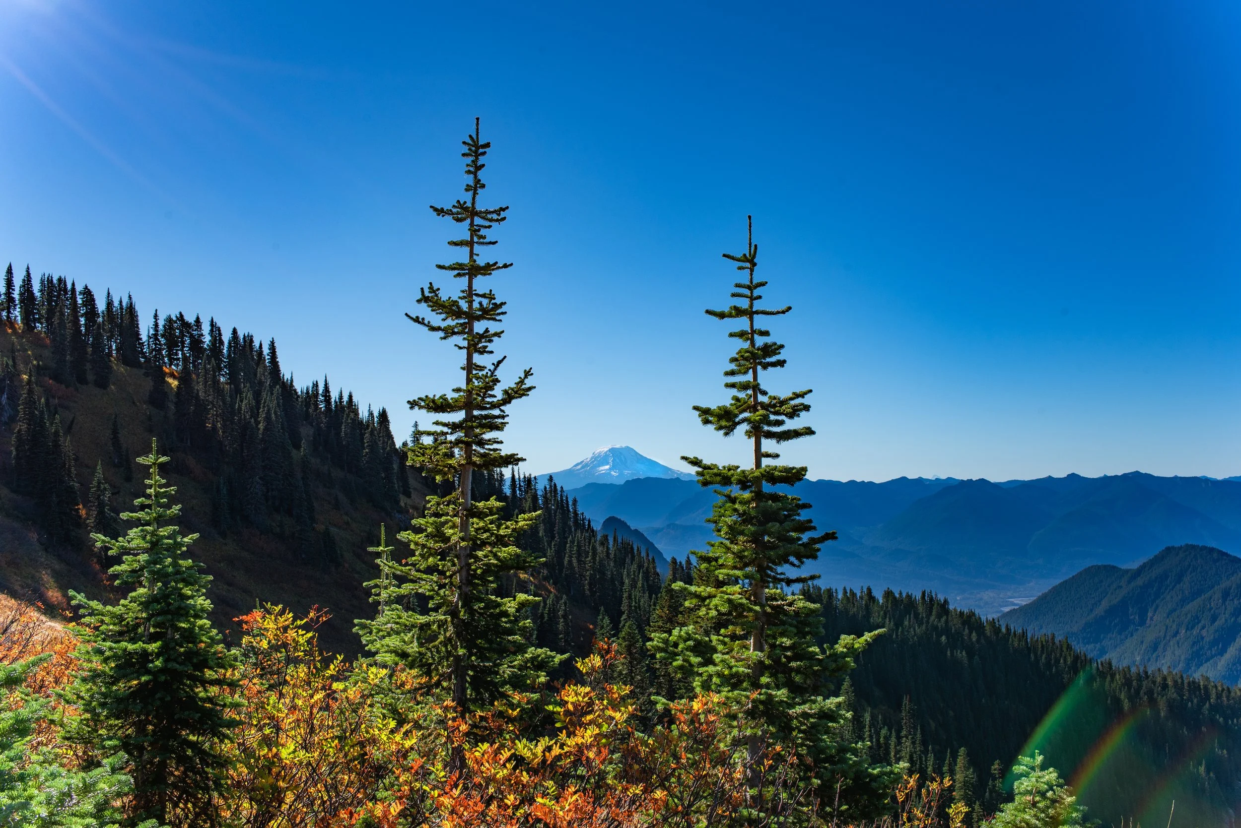 50520244212_40d038bd10_o 2.JPG