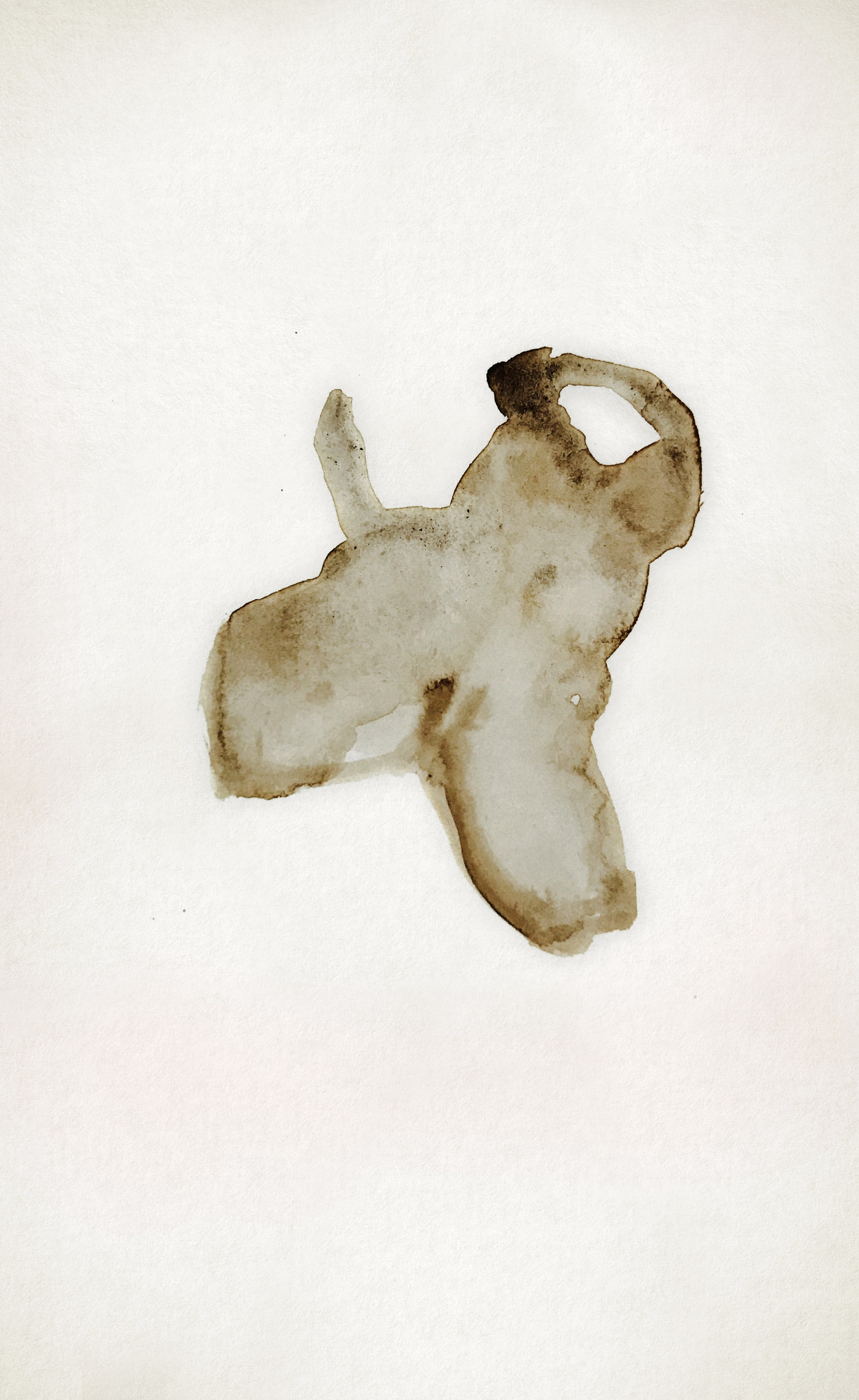 SOIL_SERIES_004_CLEAN_Rev1_01hf.jpg