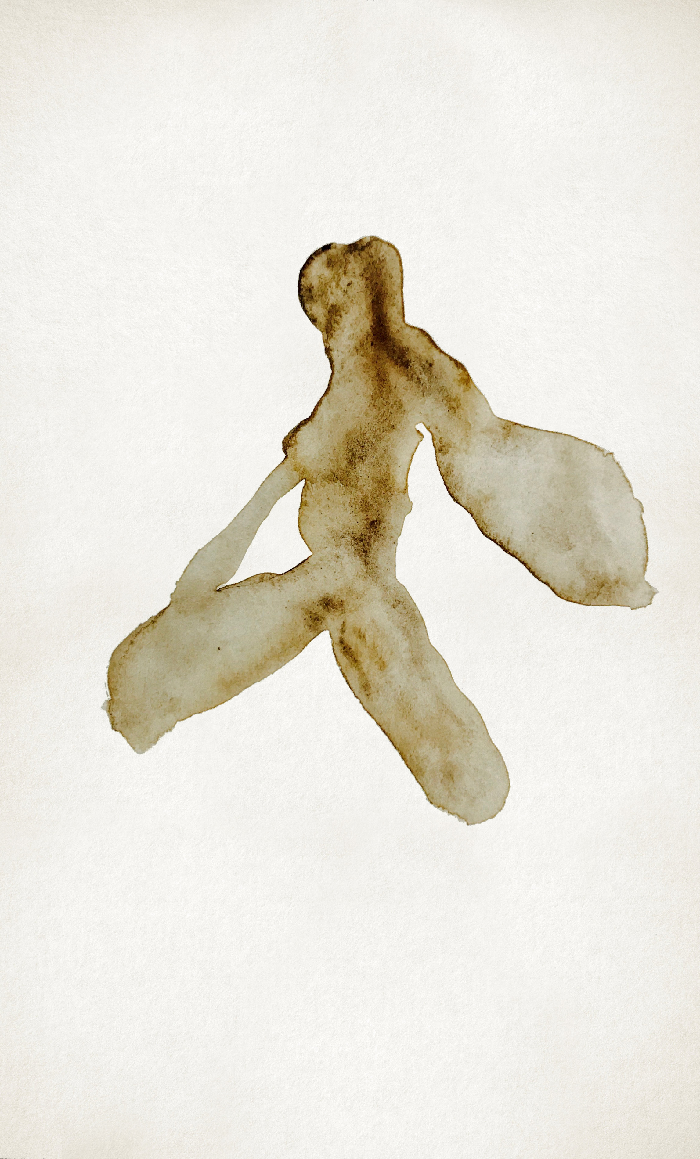 SOIL_SERIES_020_CLEAN_Rev1_01hf.jpg