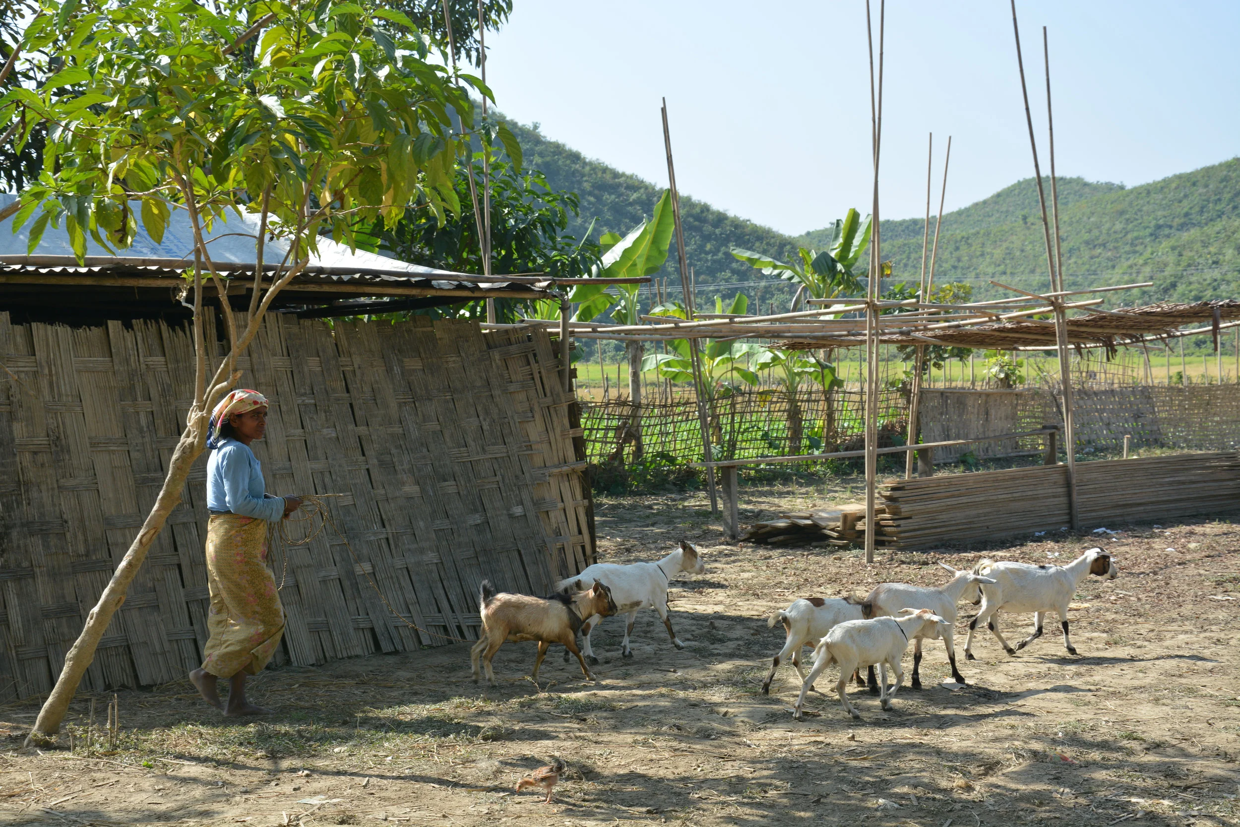 These communities depended on their animals and crops to feed their families