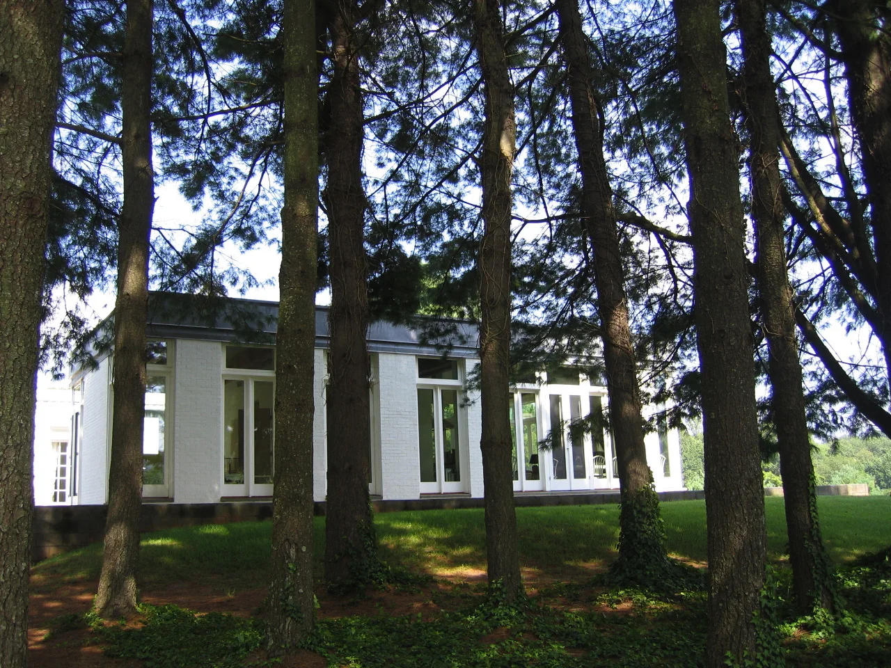 grove shot.jpg