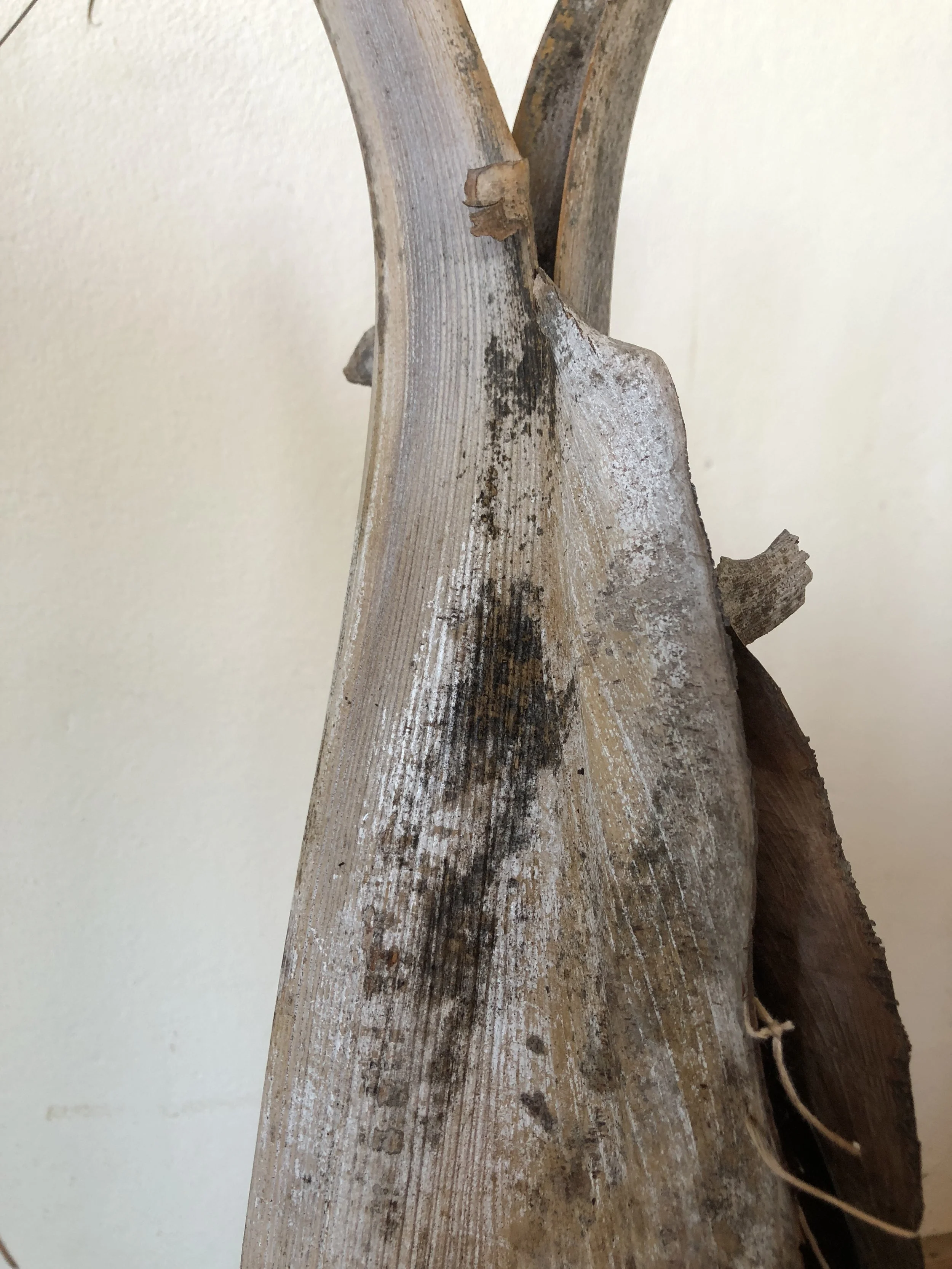 undoing an act of separation (detail)