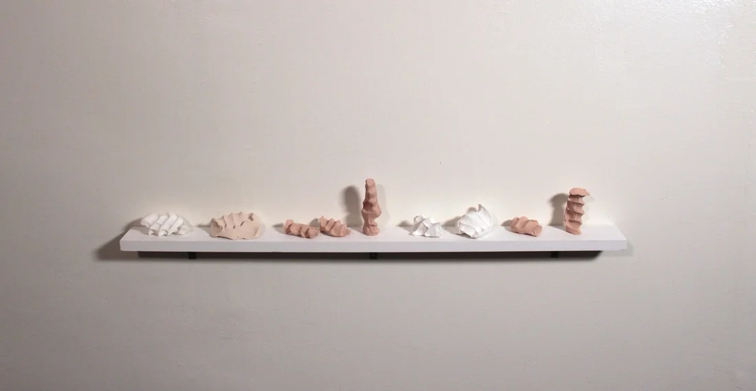 fossils