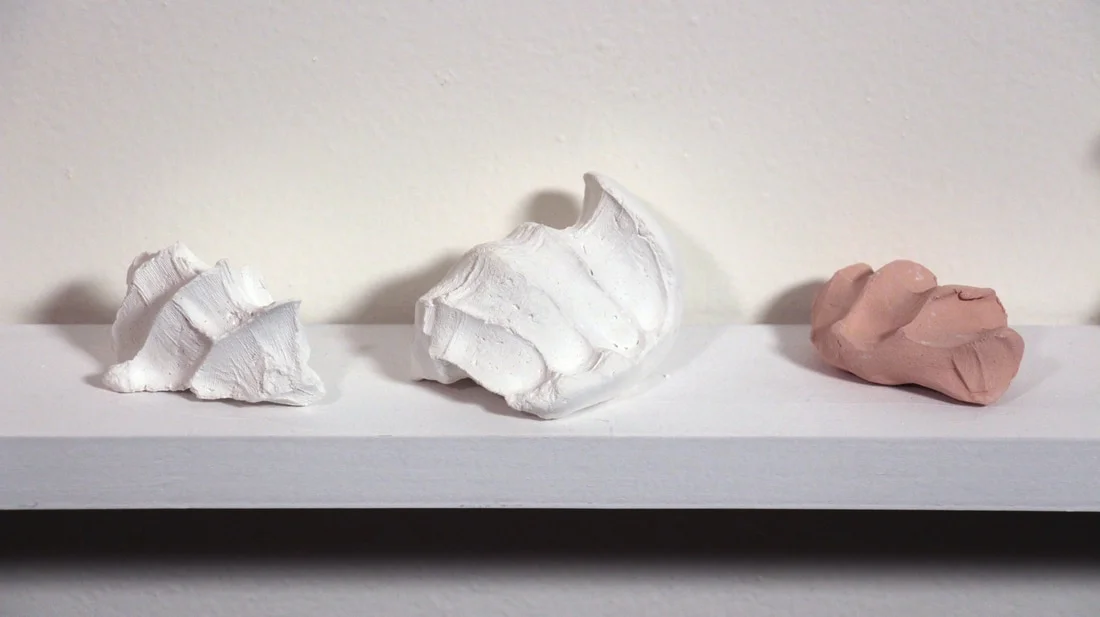 fossils (detail)