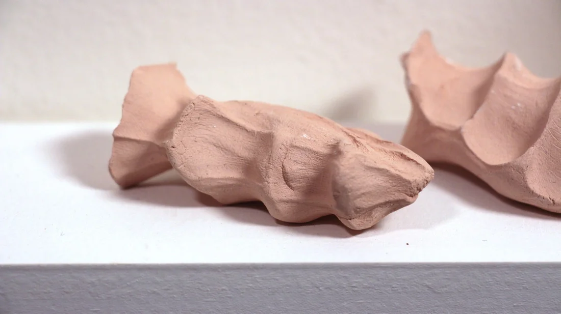 fossils (detail)