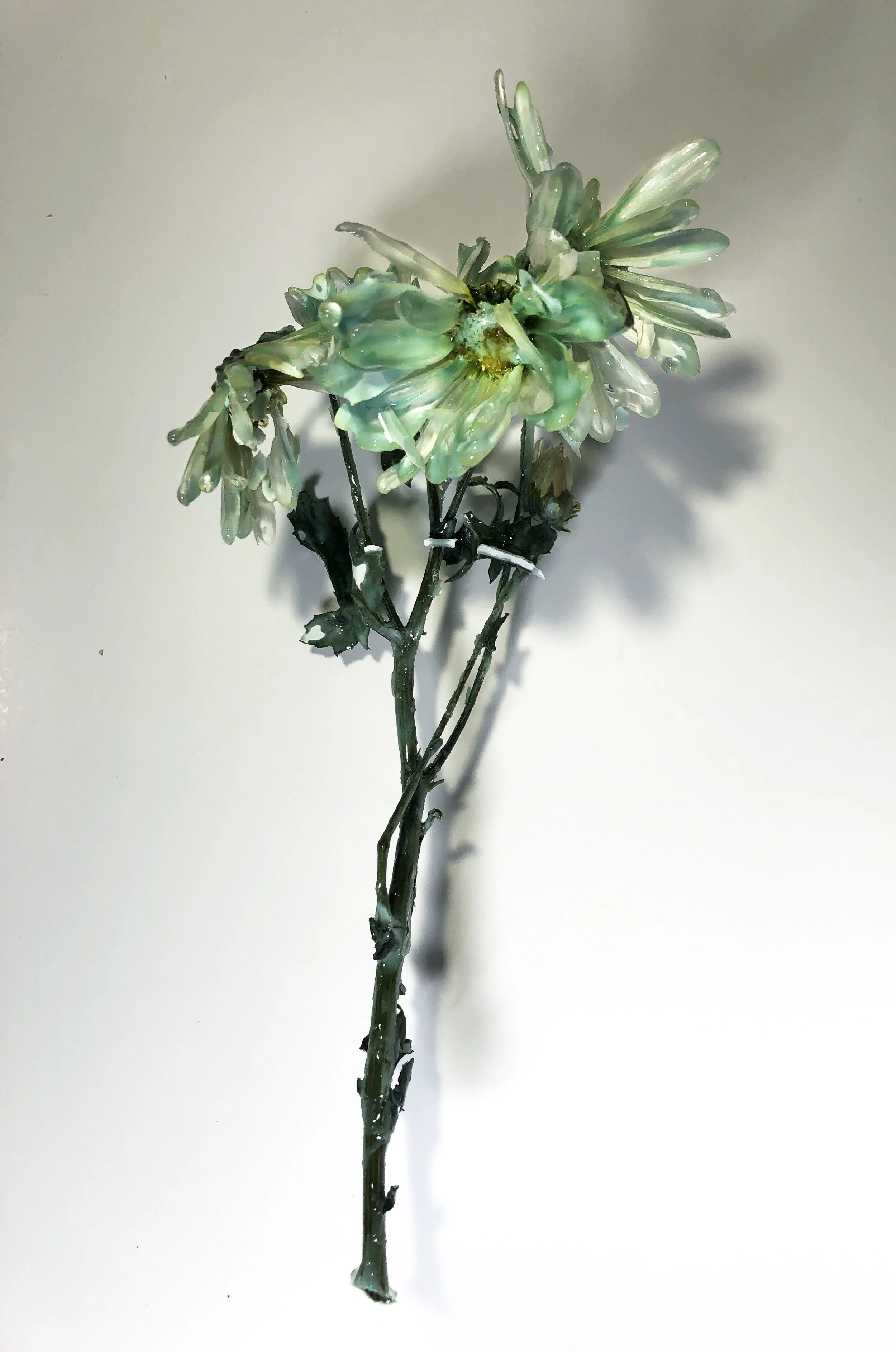 flower/founder/flounder/surrender