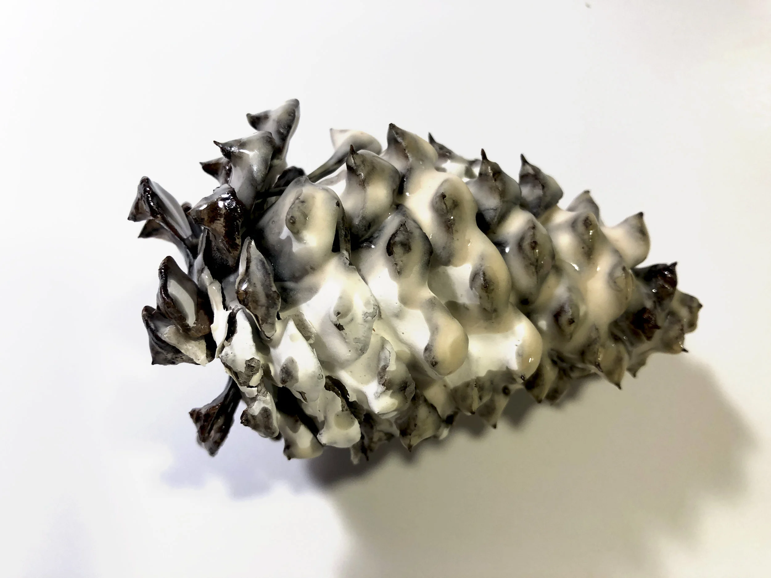 winter cone