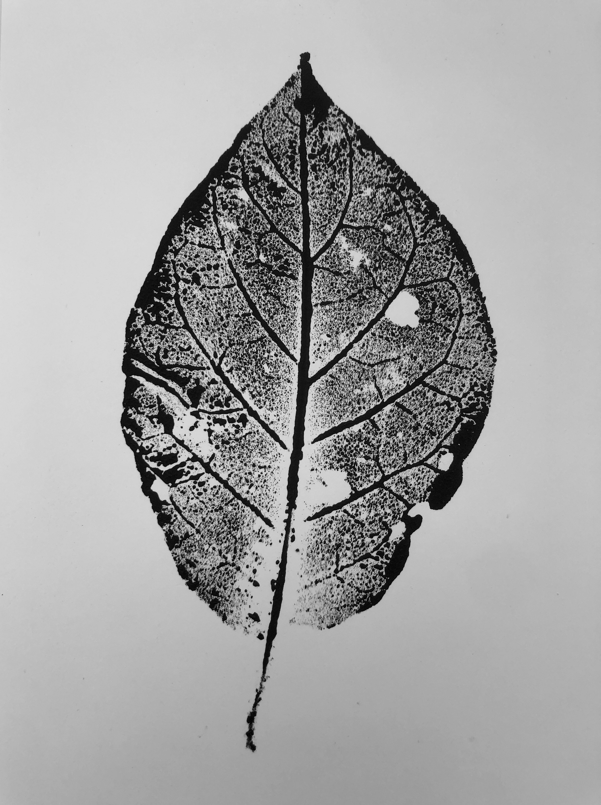 EF6900DA-4DF1-47F6-B204-788823B1150E.JPEG