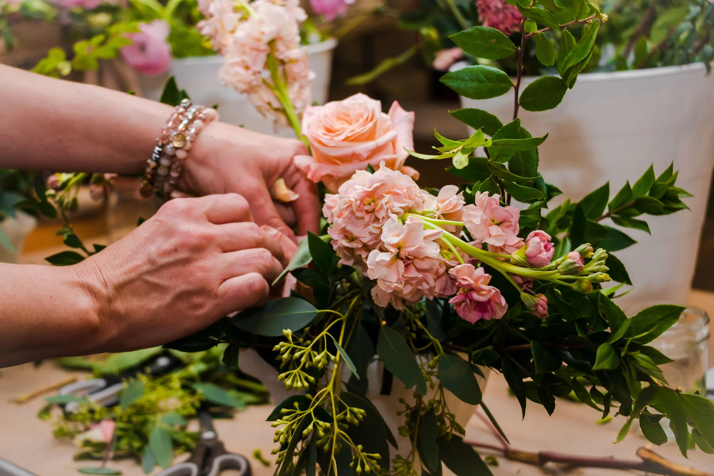 20190328_Spruce Event_SB-111.jpg