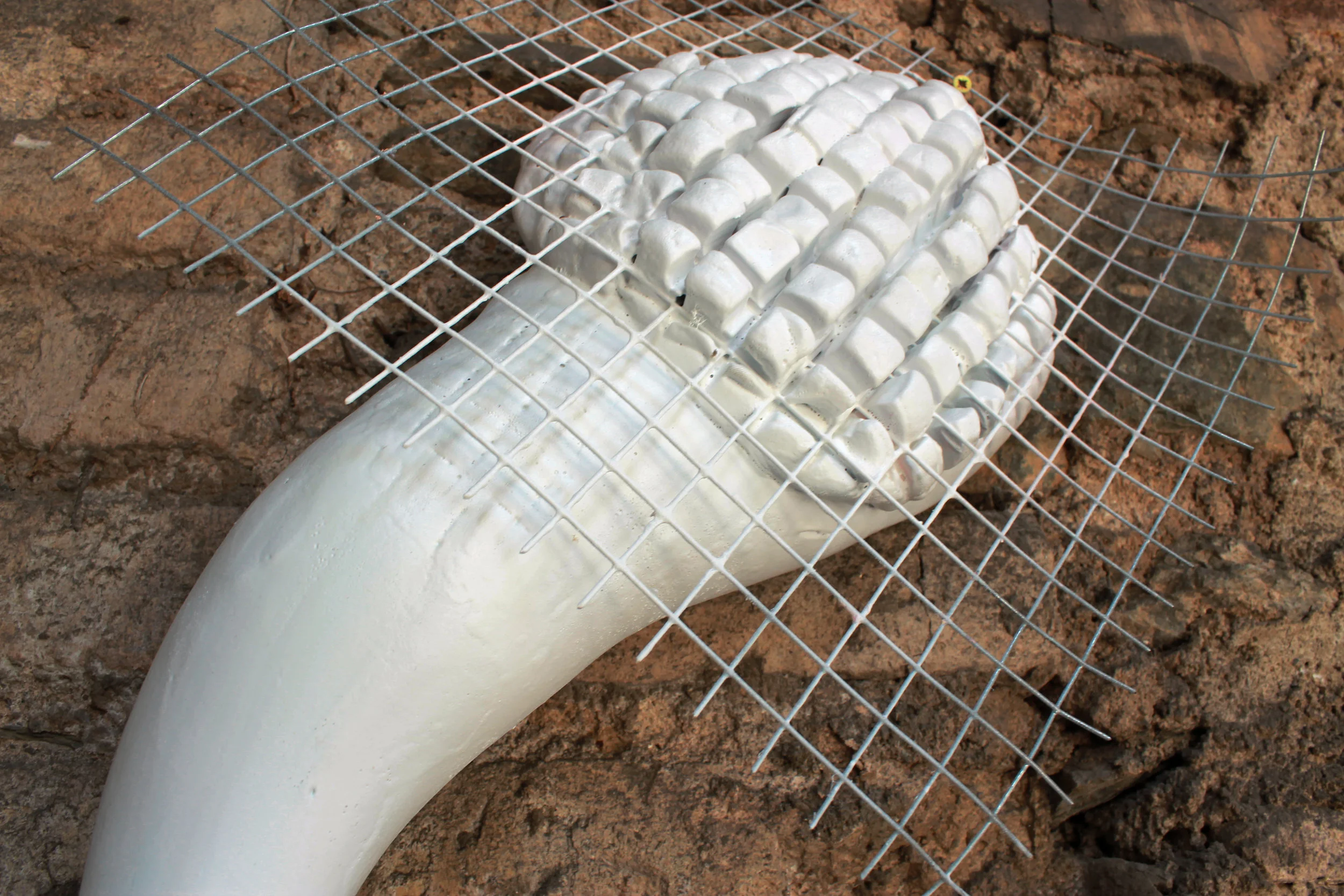 The Vaginal Mesh II (detail)