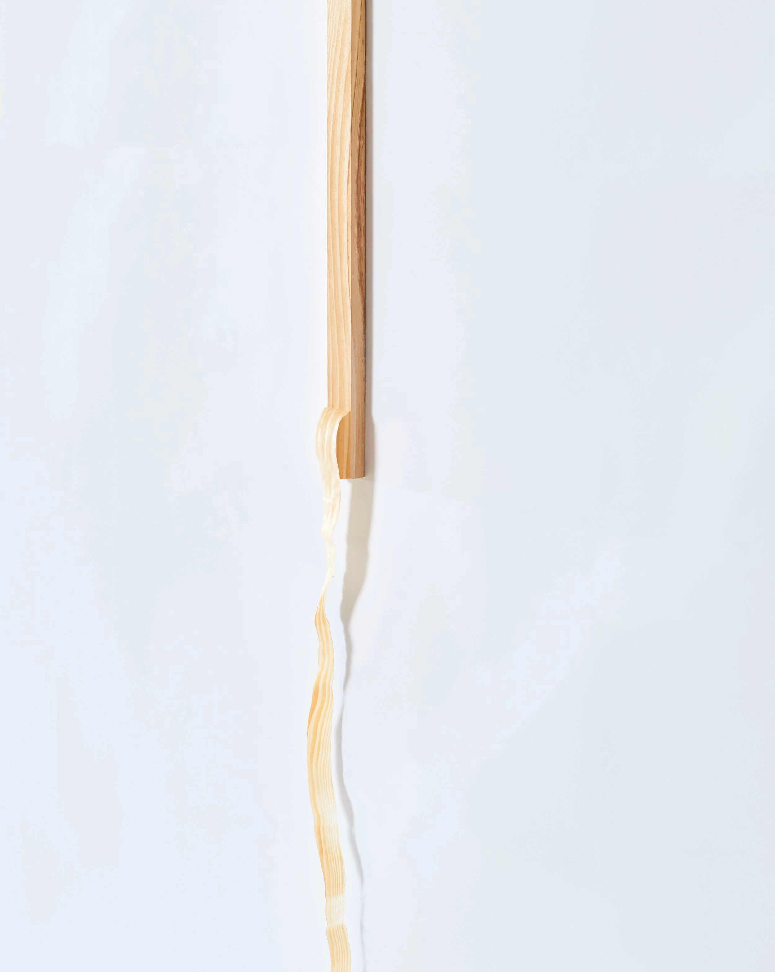 A Ribbon In The Pine