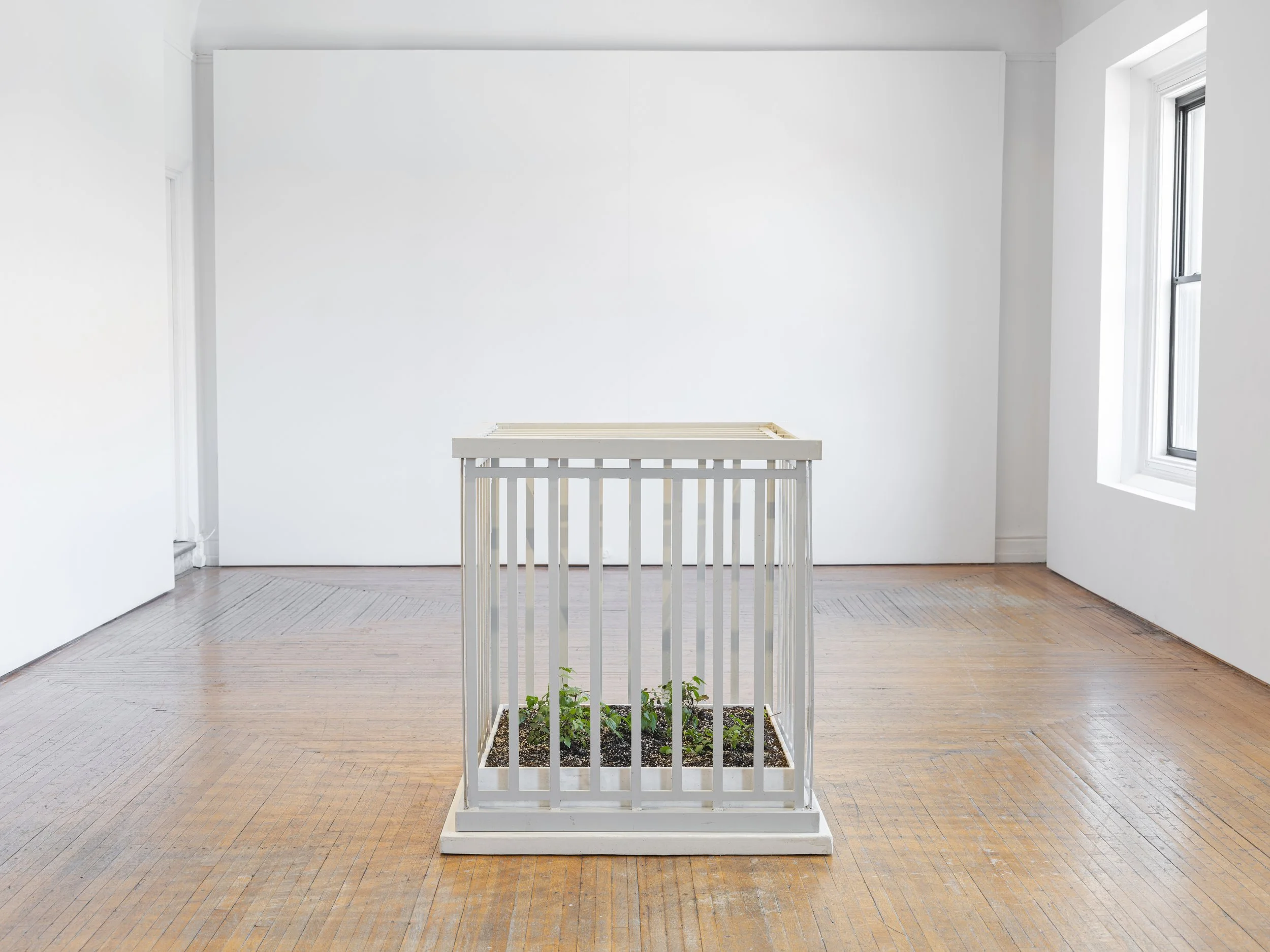 When considering the subject of medium, one thinks of material. In this case, Kiah uses the non-tangible “material” of time as a medium because it influences the aesthetics and concept of the piece in tandem with its physical materials (aluminum cag