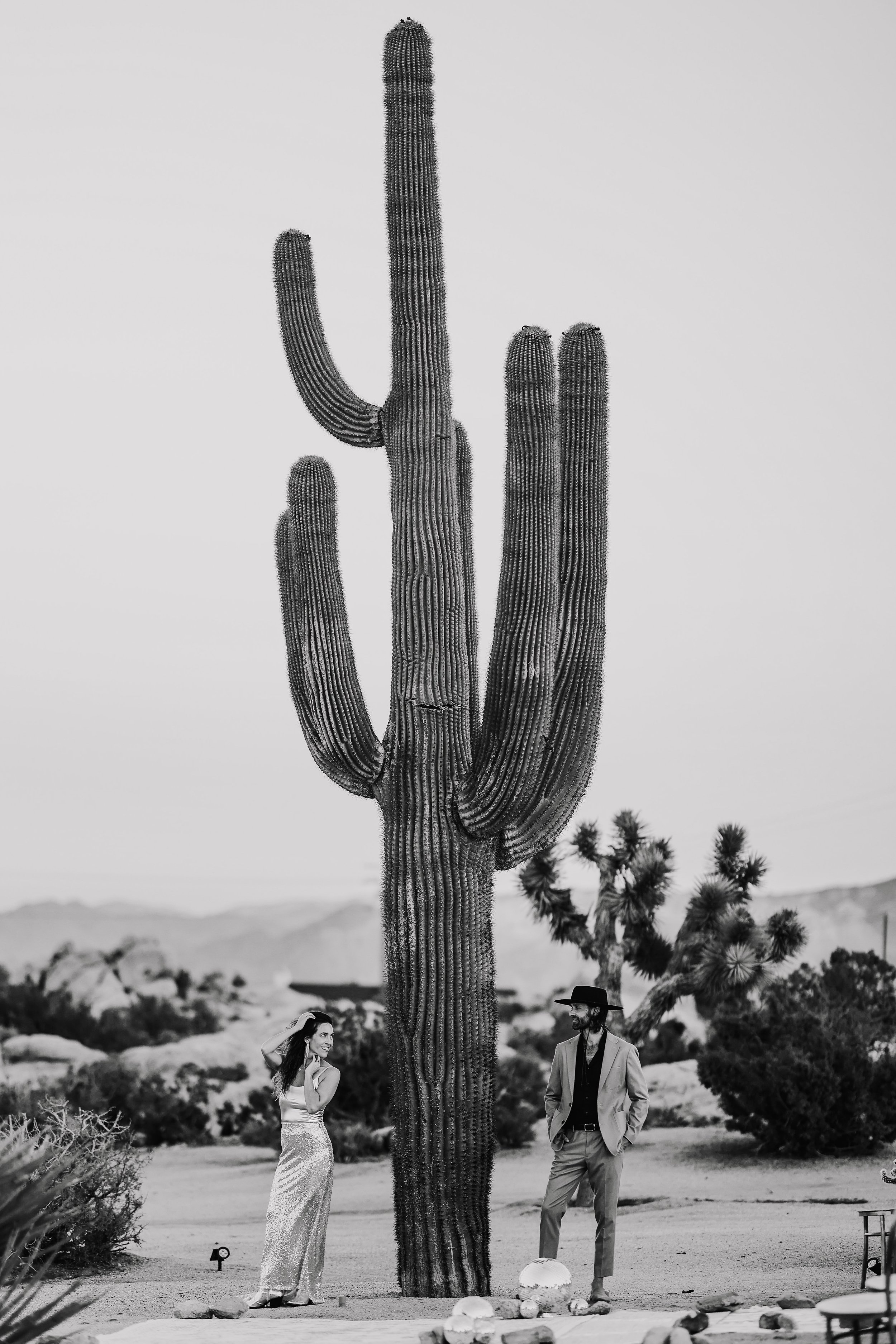 black and white wide engagement shoot in front of cactus with disco ball