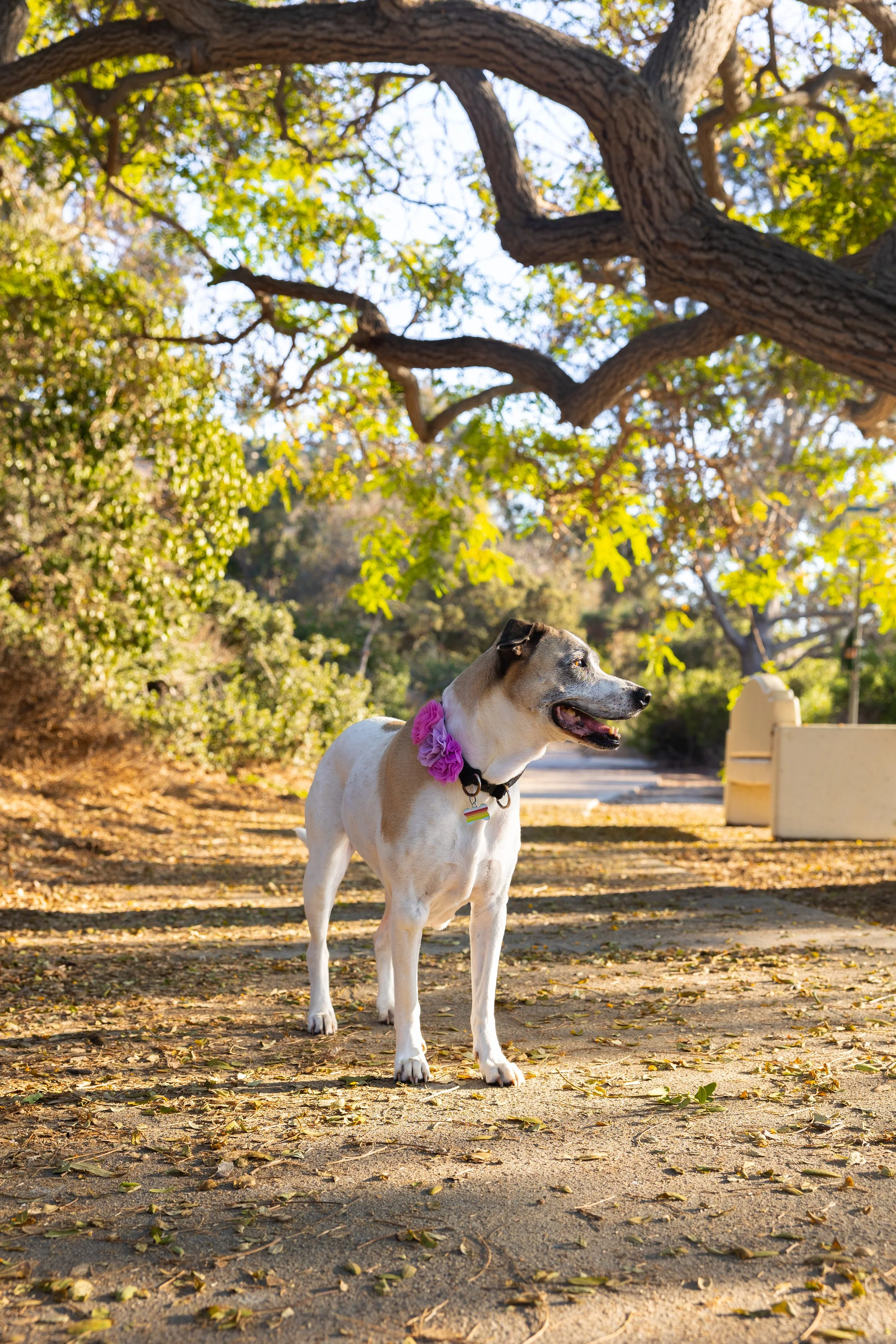 laura costa photography 3.JPG