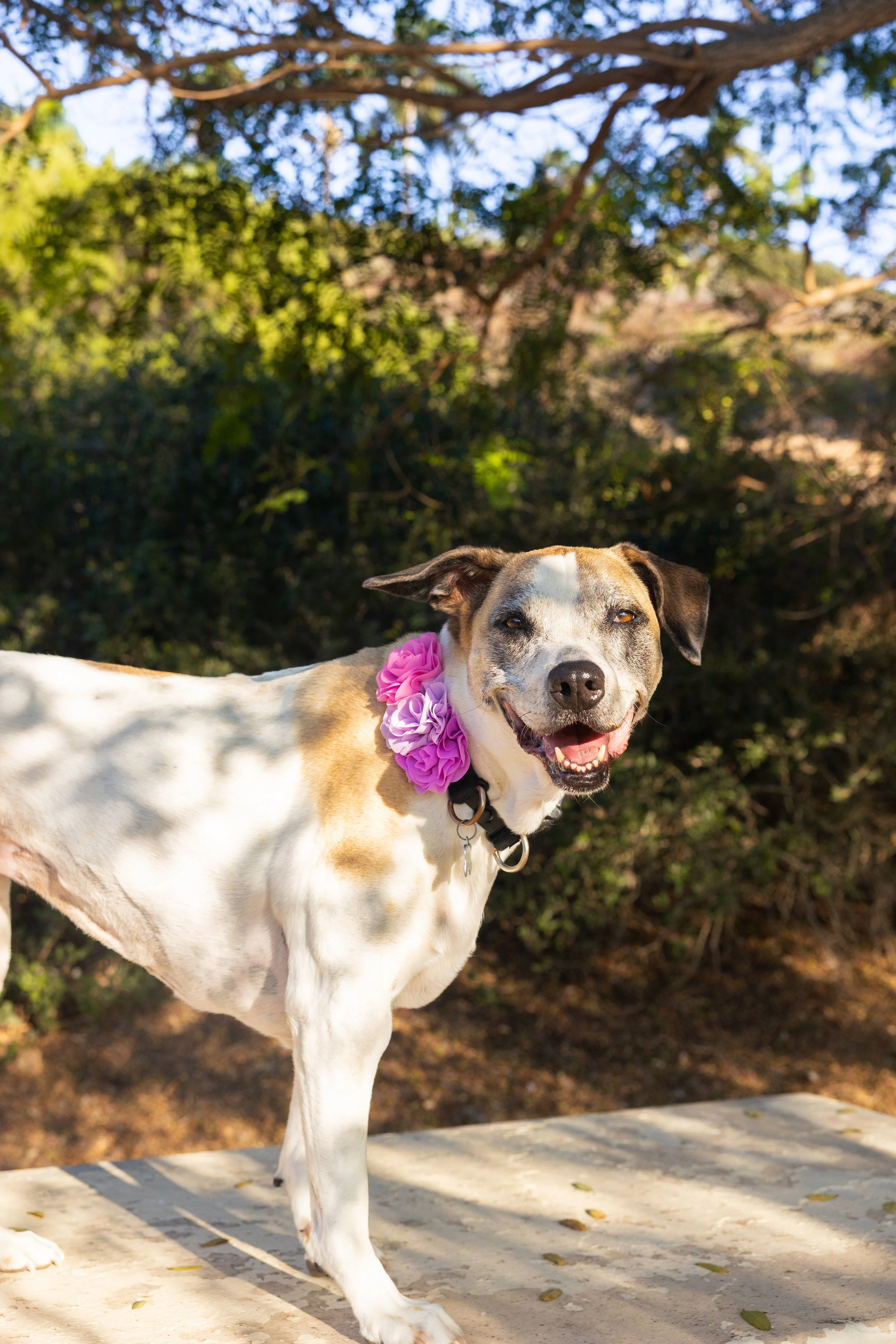 laura costa photography 4.JPG
