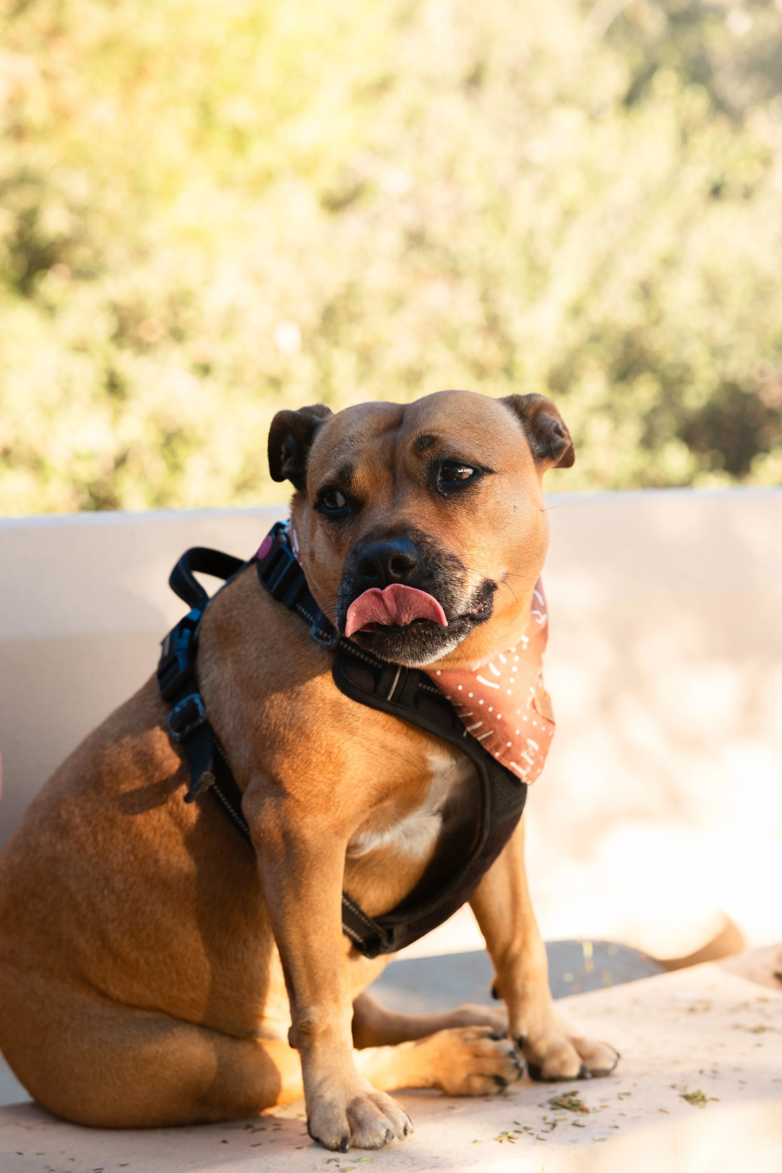 laura costa photography 14.JPG