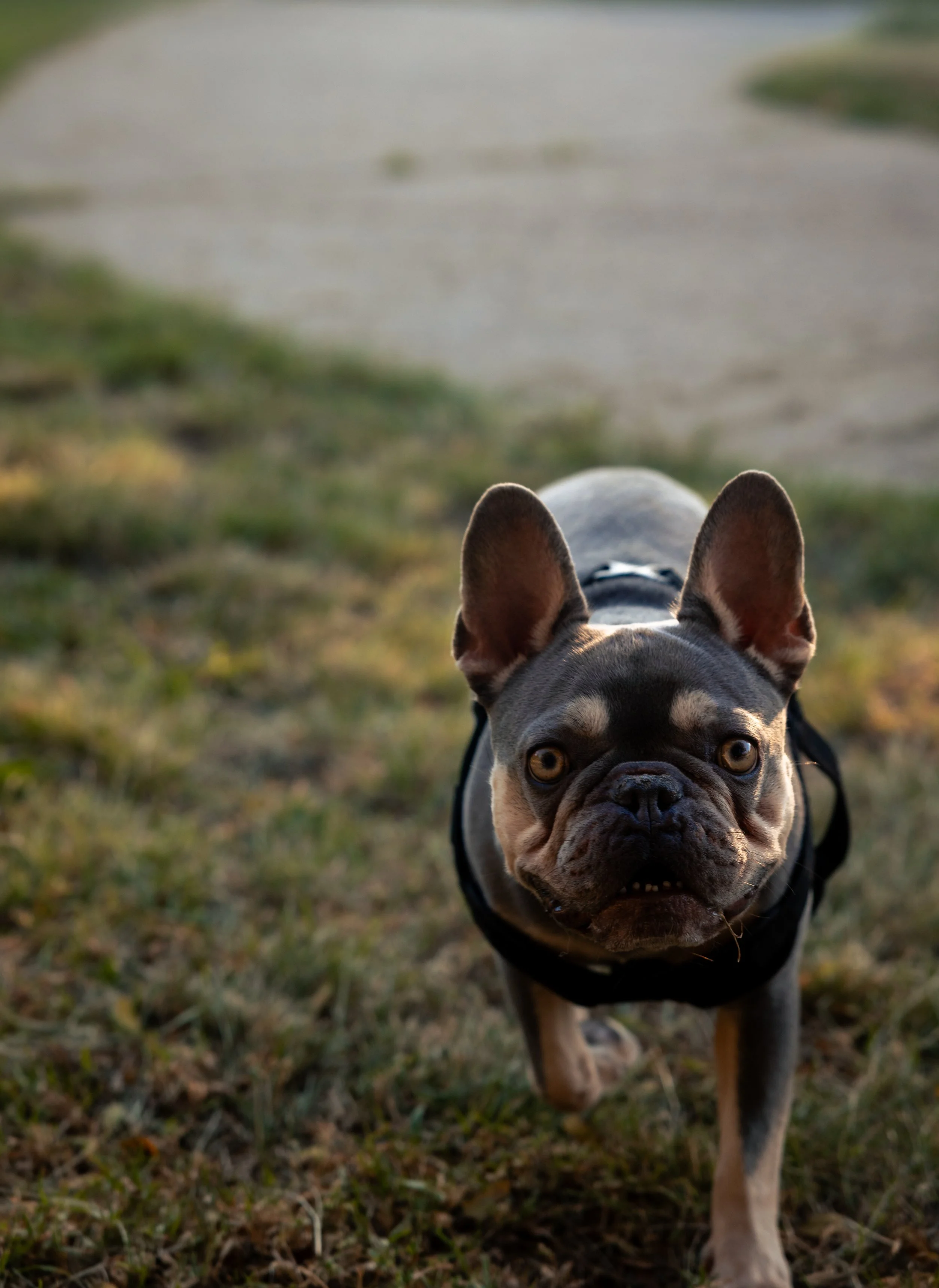 laura costa photography 20.JPG