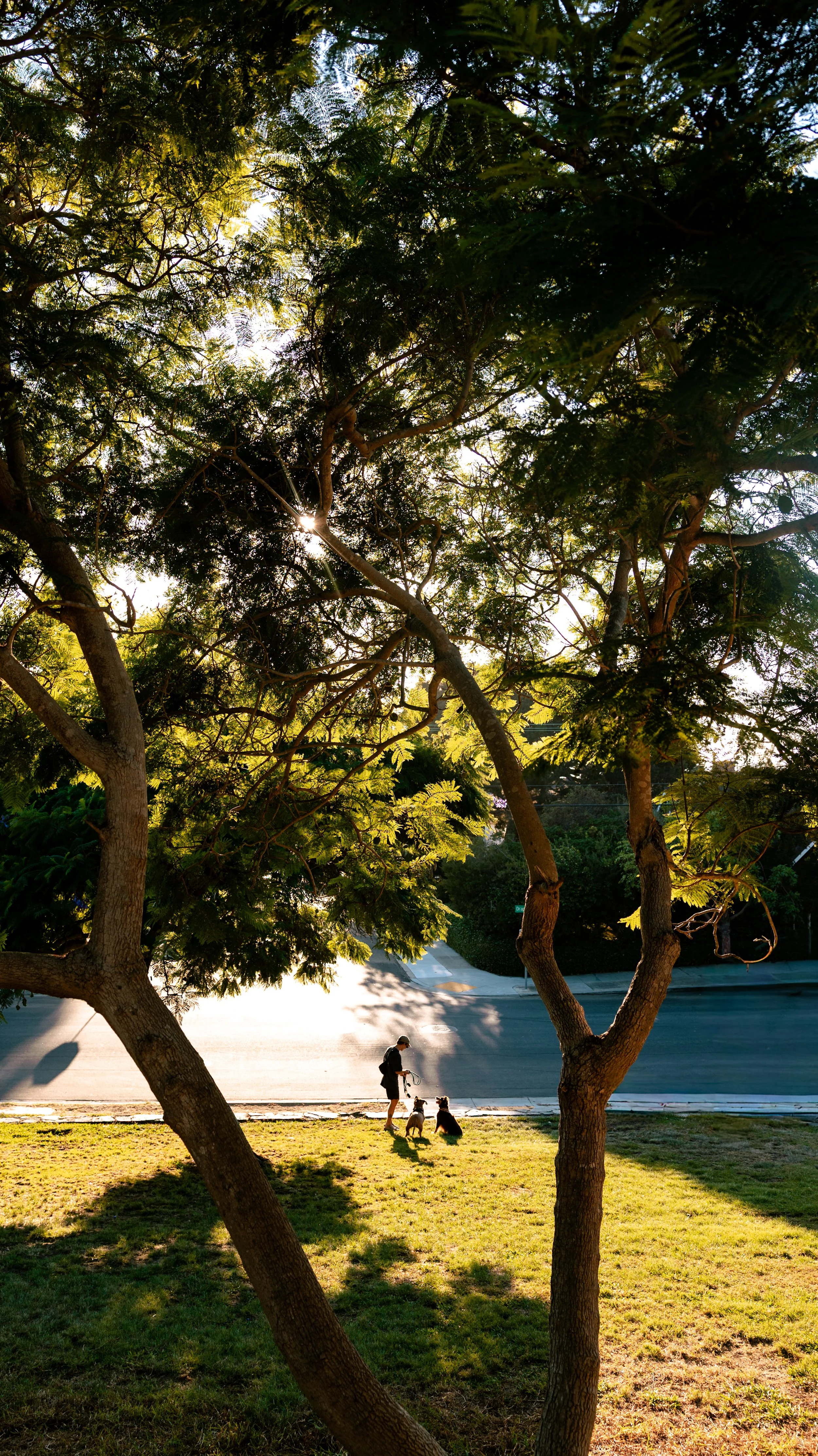 laura costa photography 19.JPG