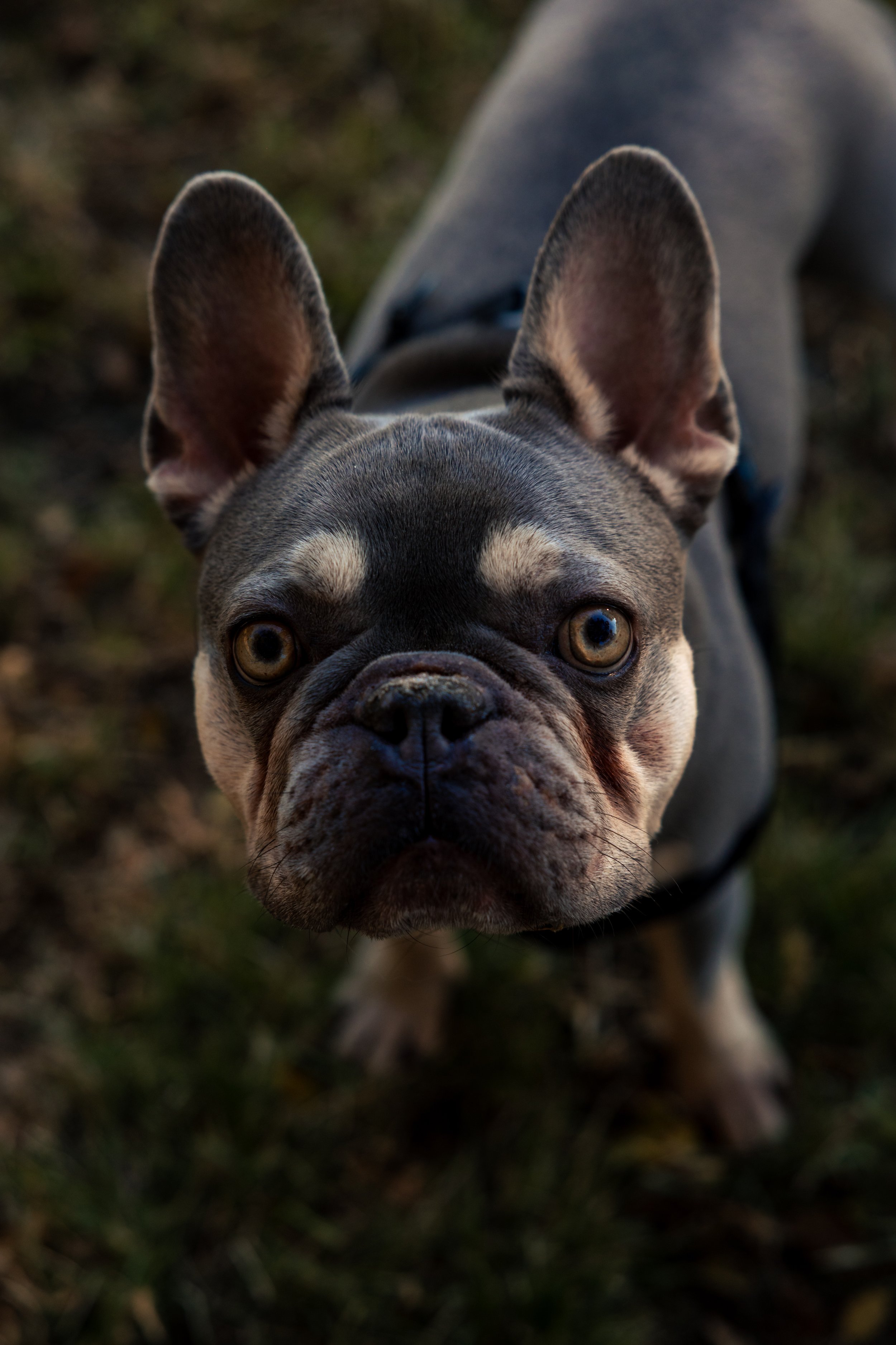 laura costa photography 21.JPG